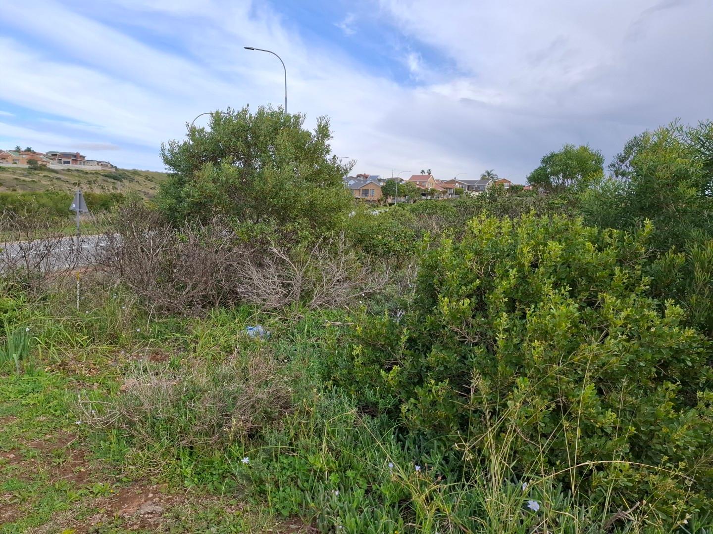 Image 5 of 6