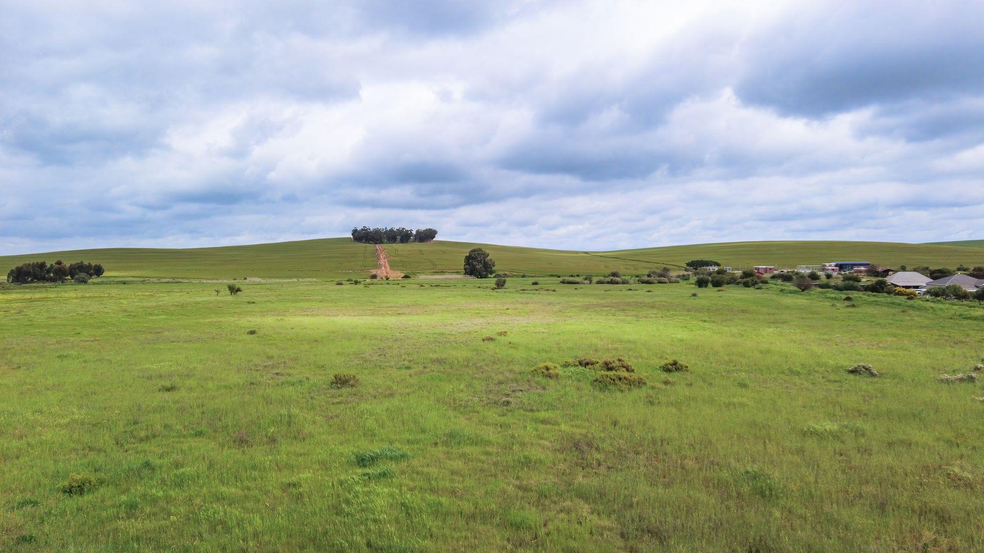 Image 14