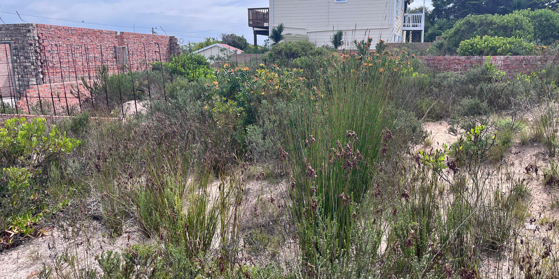 Image 3 of 6