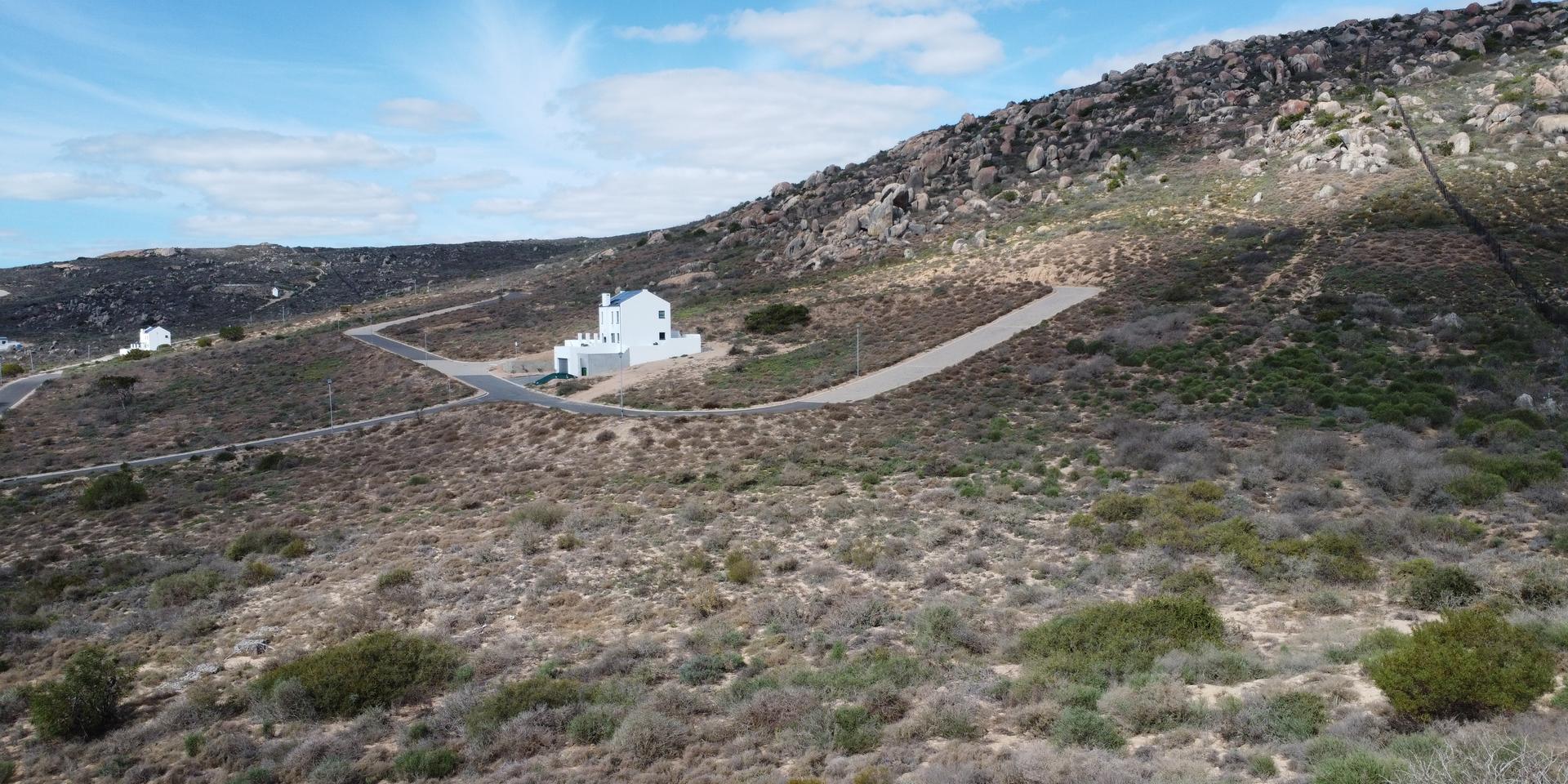 Image 4 of 6