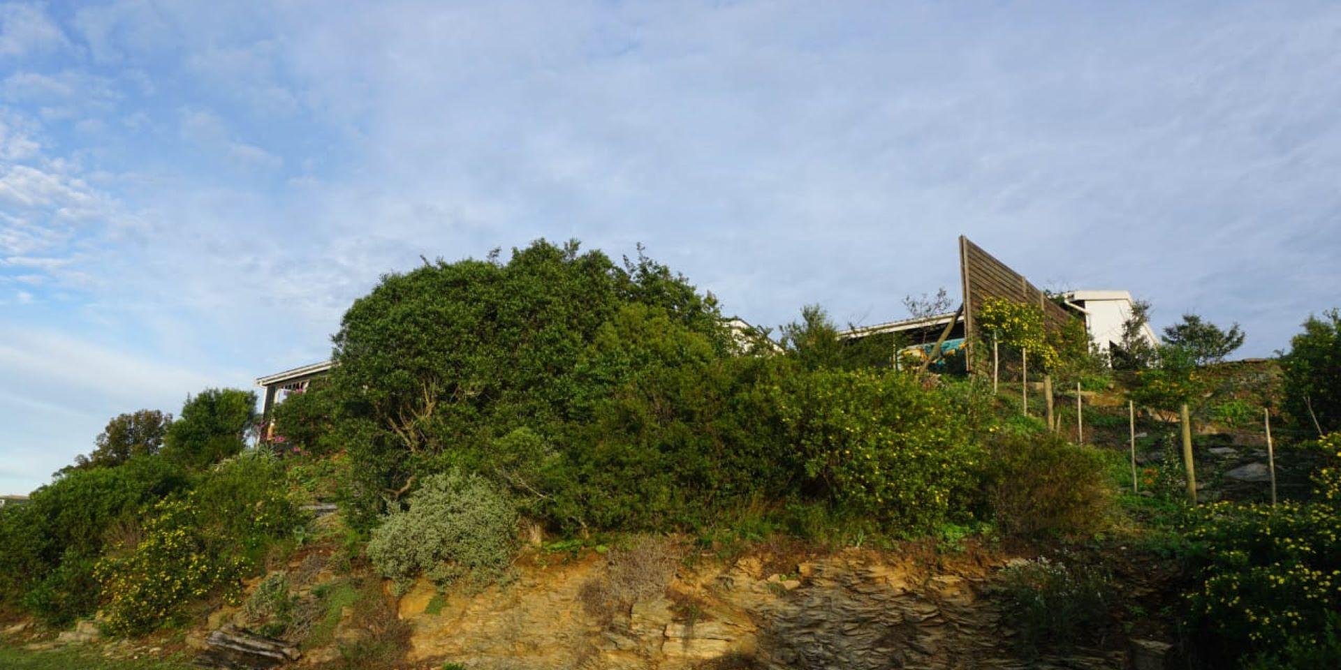 Image 4 of 6