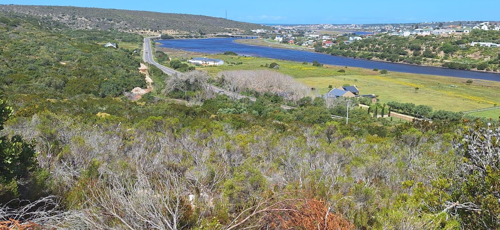 Image 5 of 6