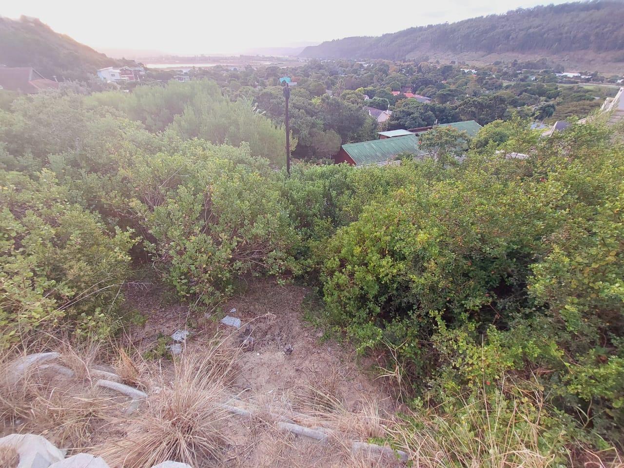 Image 14