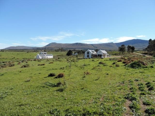Image 5 of 6