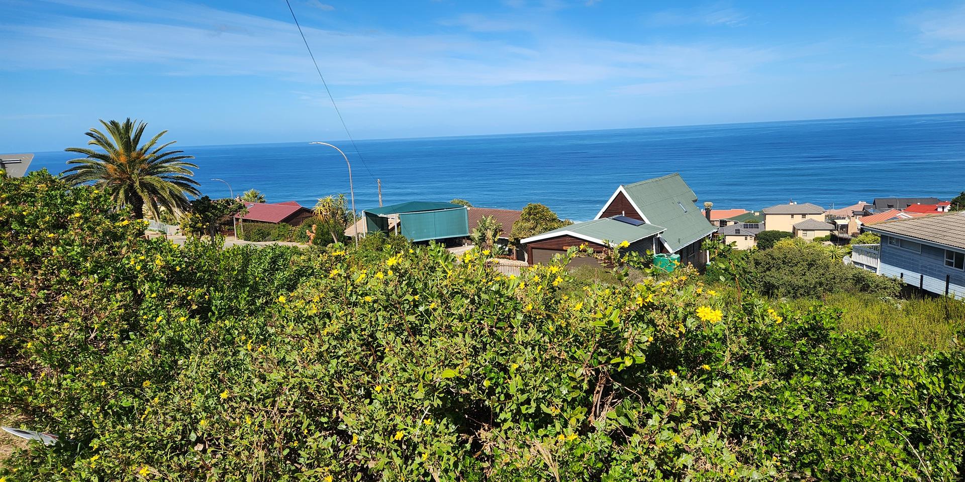 Image 4 of 6
