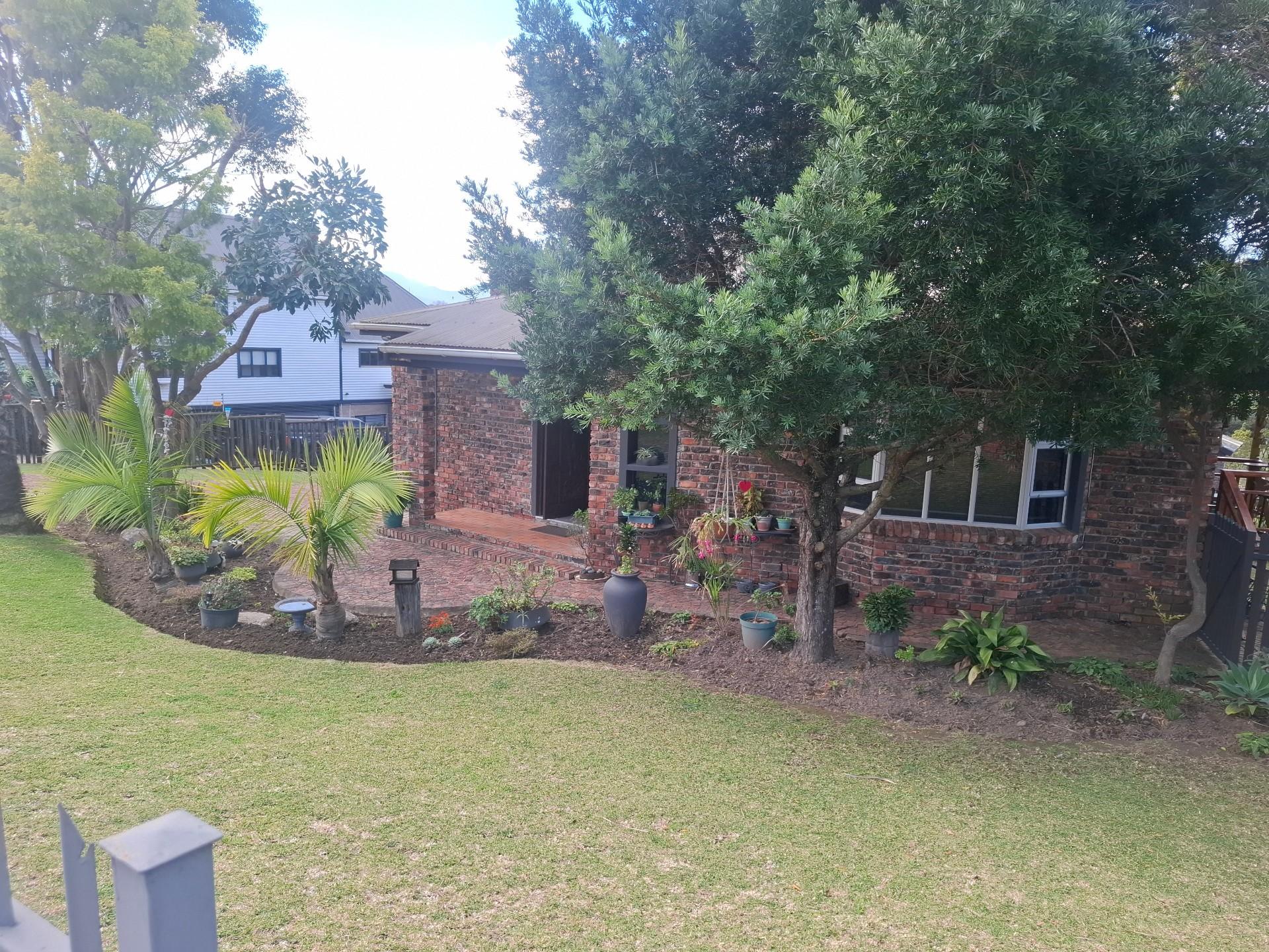 Image 41