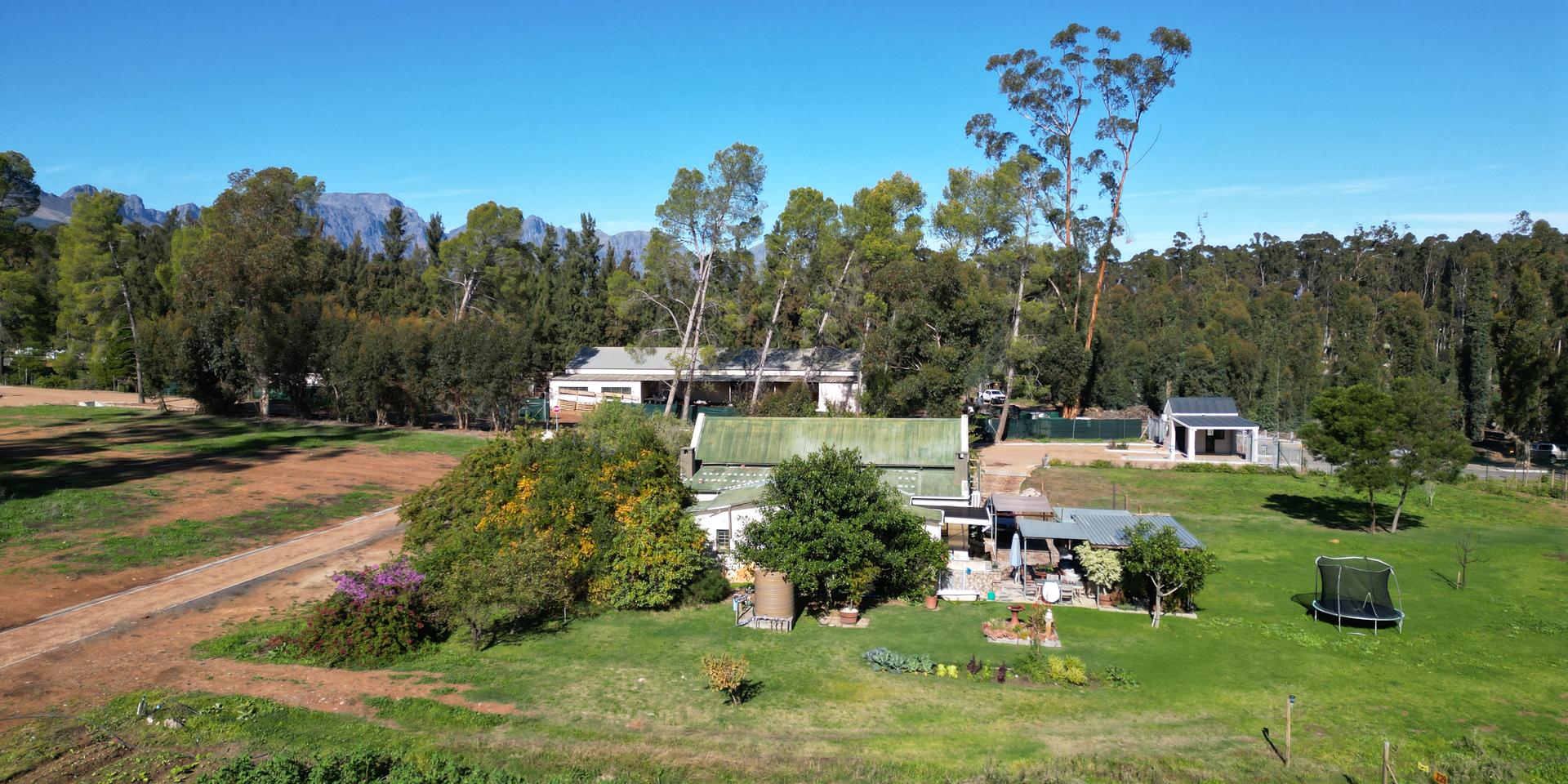 Image 3 of 6