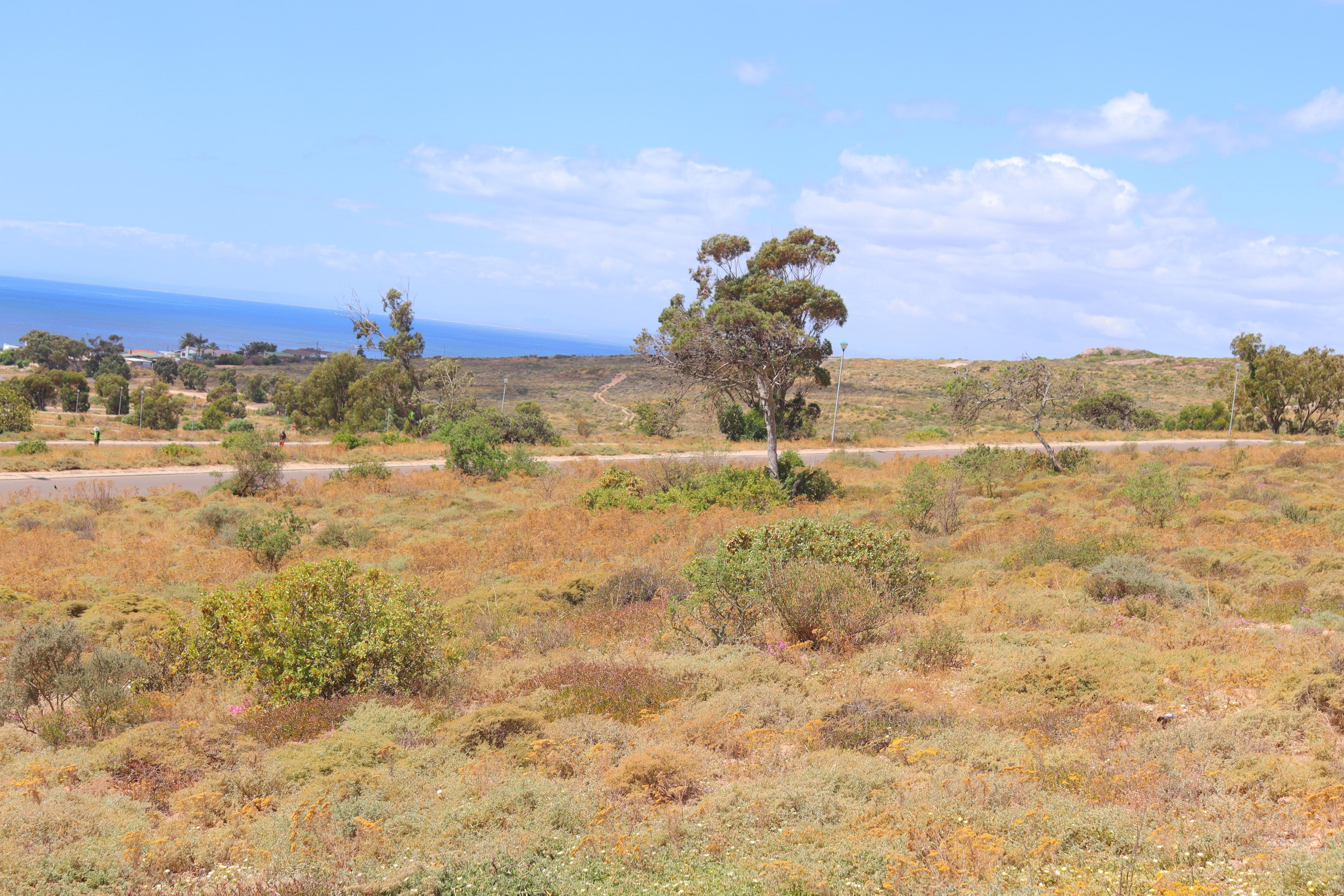 Image 4 of 6