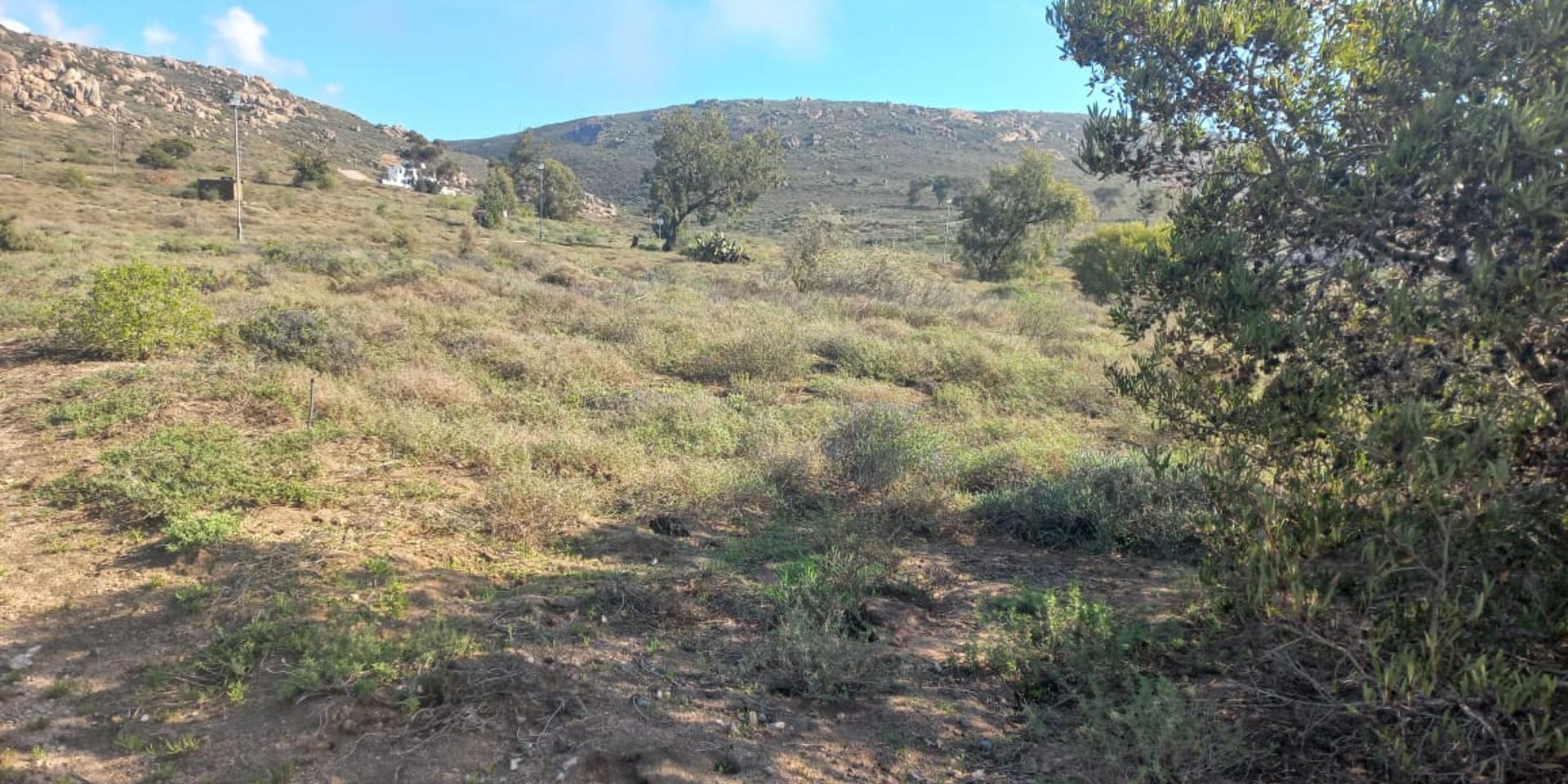 Image 2 of 6