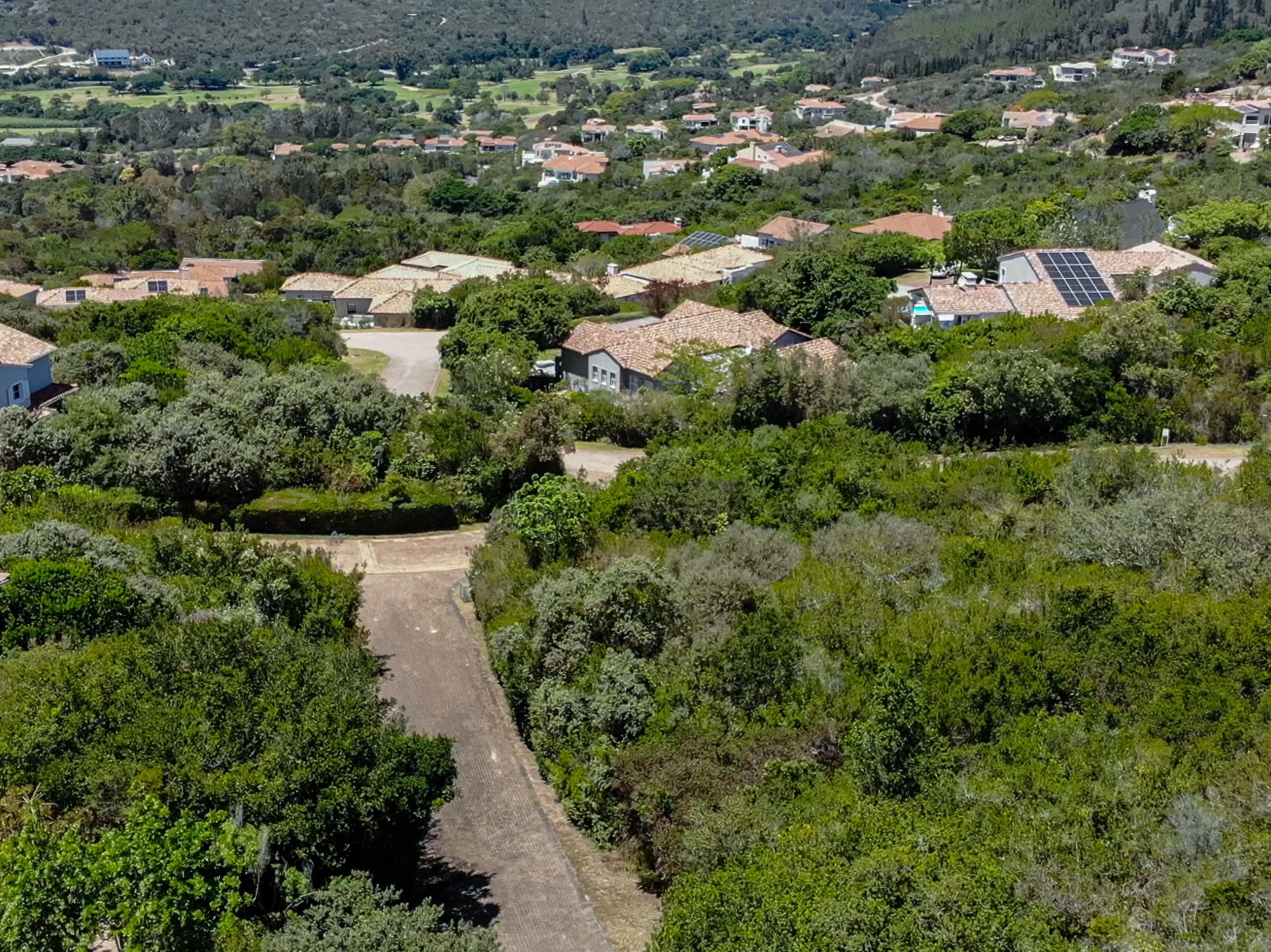 Image 4 of 6