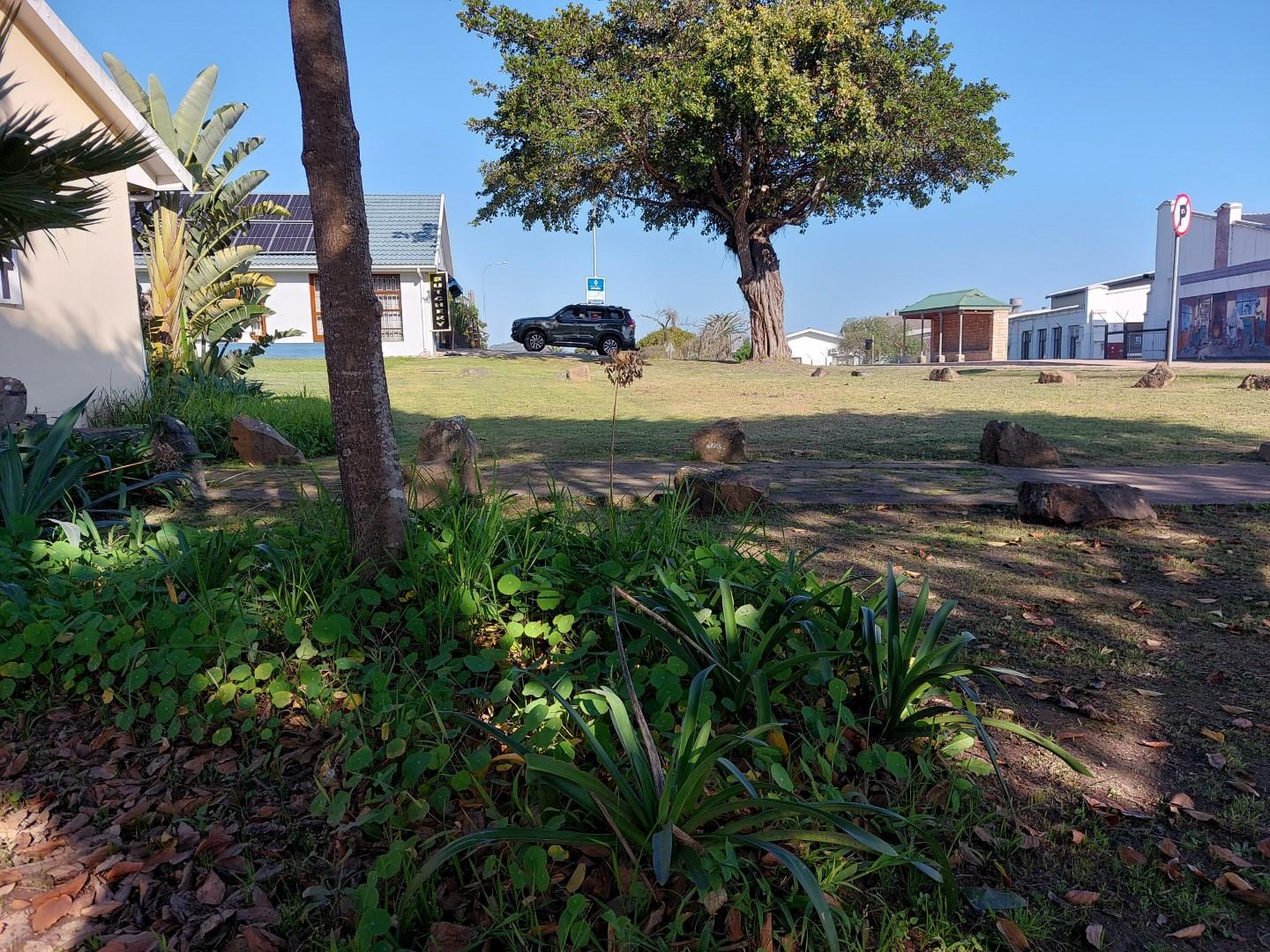 Image 4 of 6