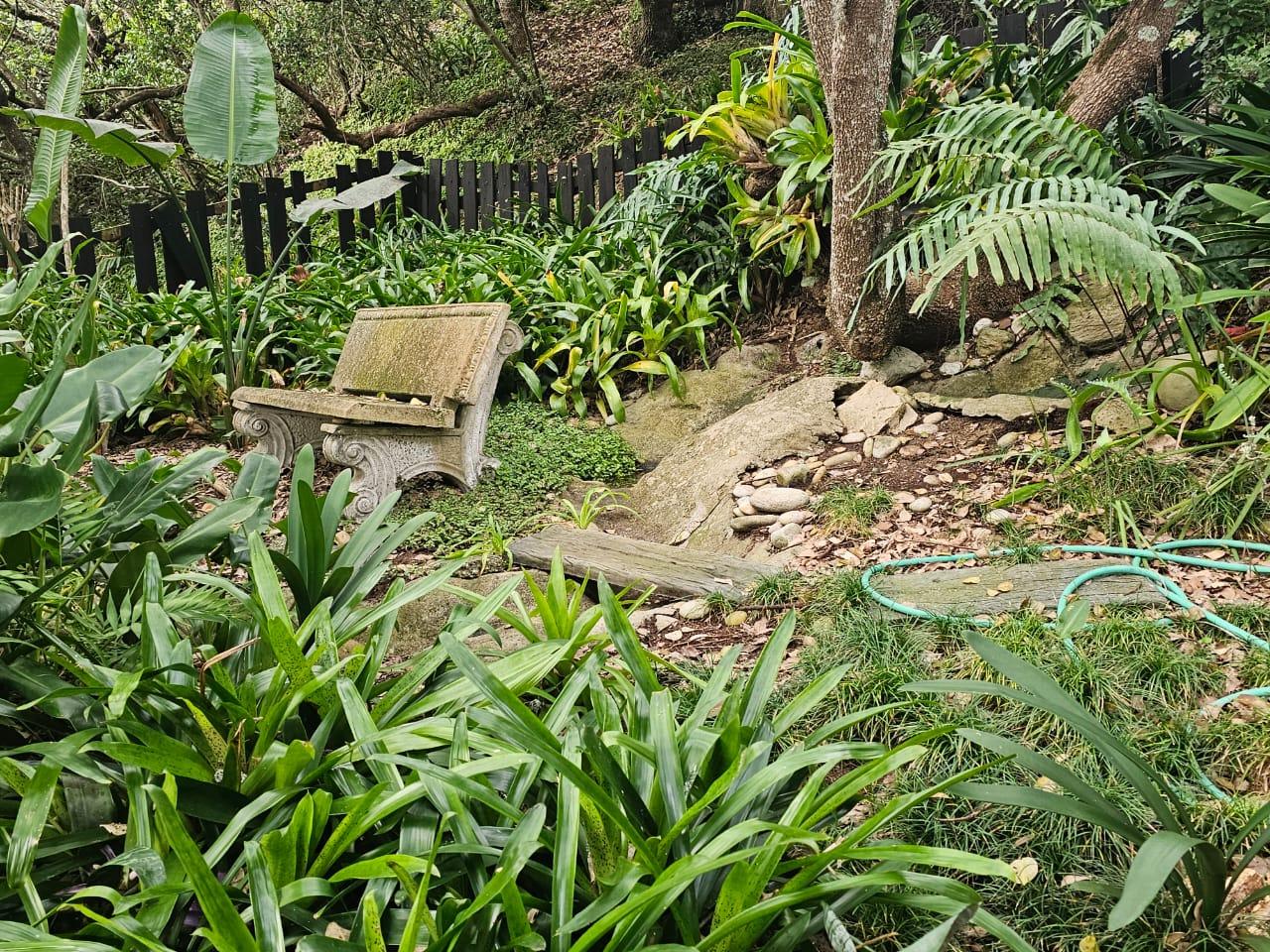 Image 22