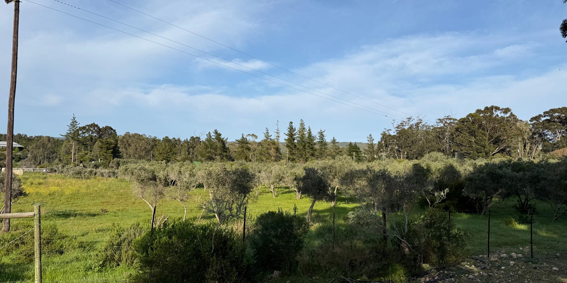 Image 4 of 6