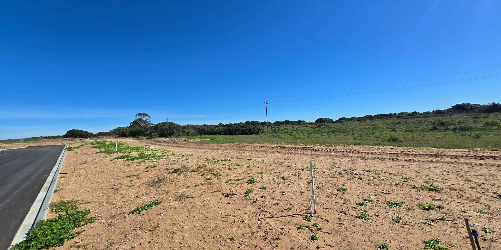 Image 4 of 6