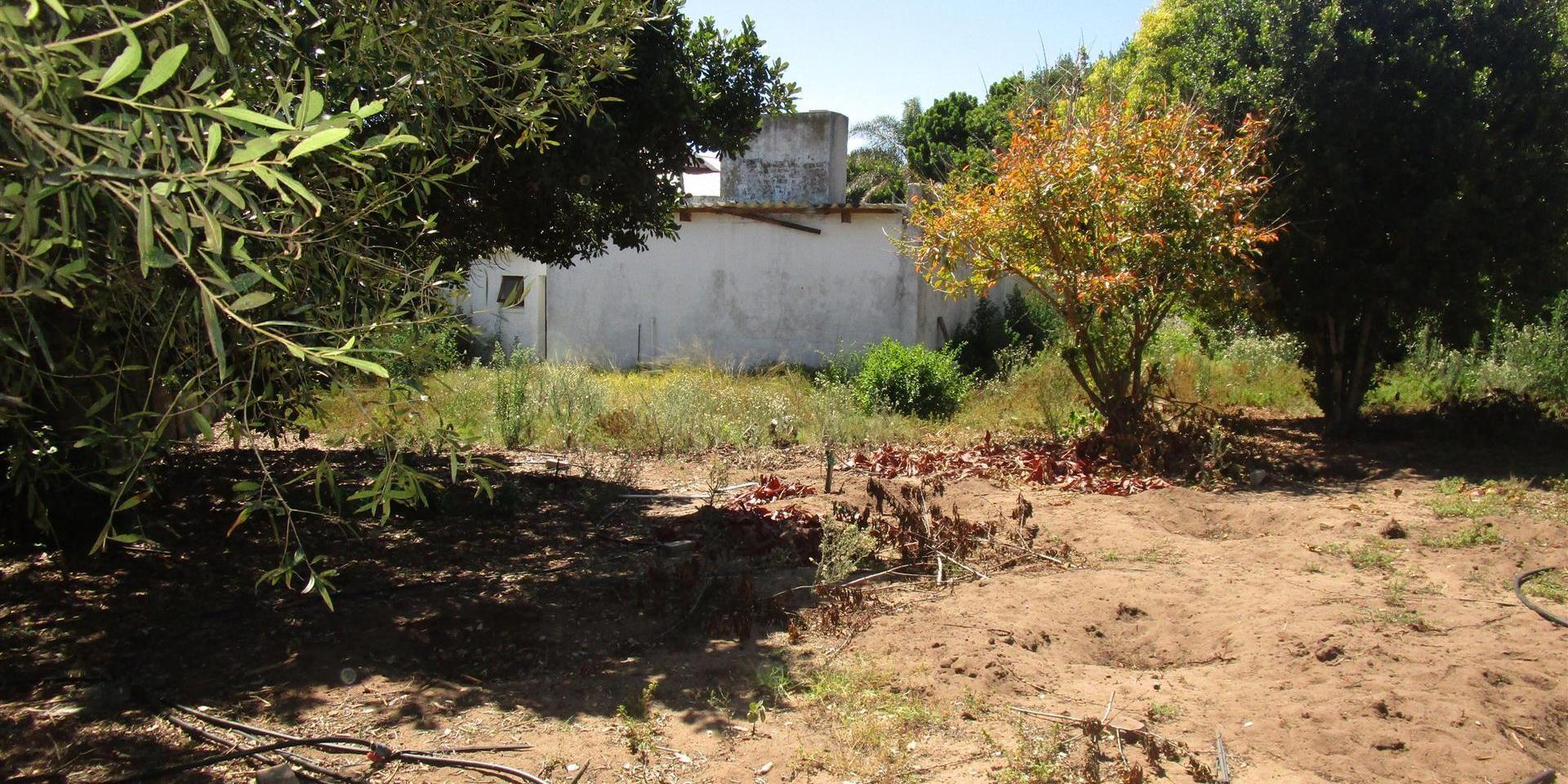 Image 3 of 6