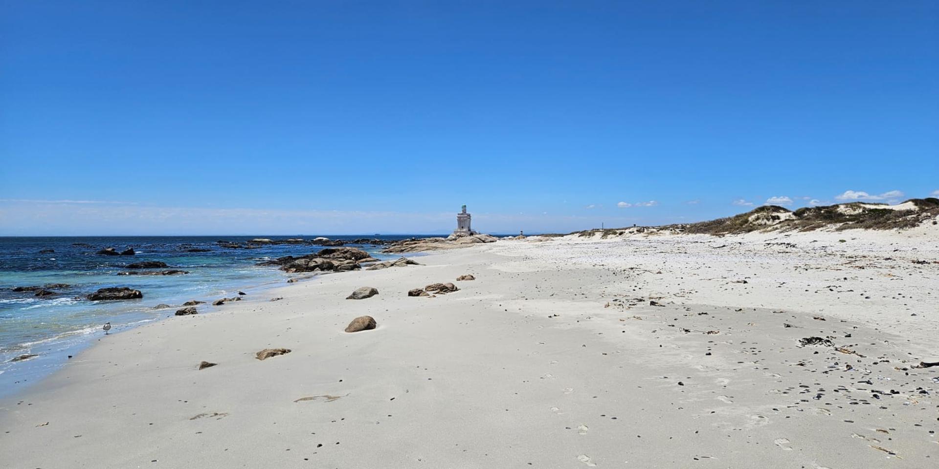 Image 4 of 6