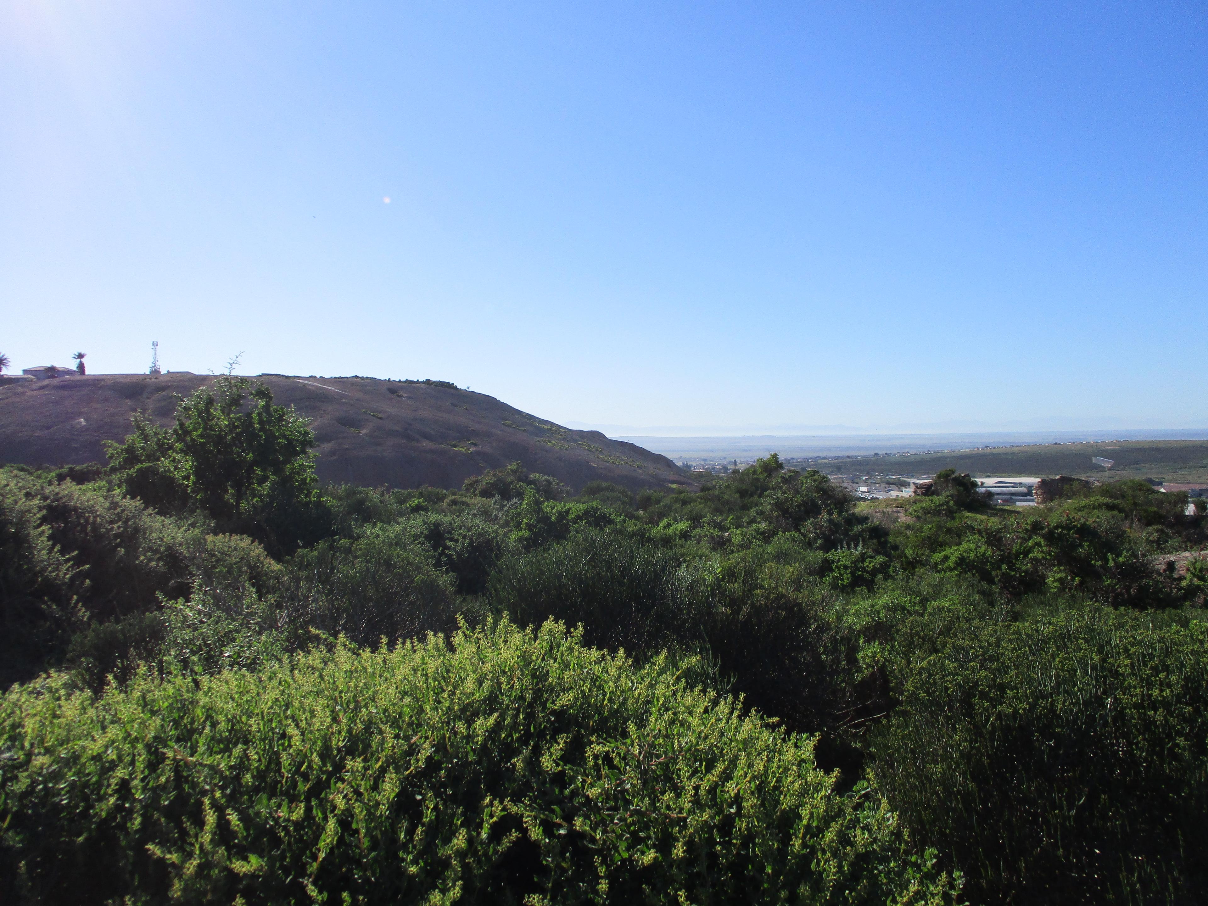 Image 5 of 6