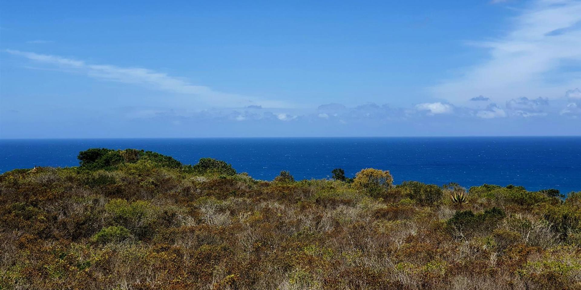 Image 5 of 6