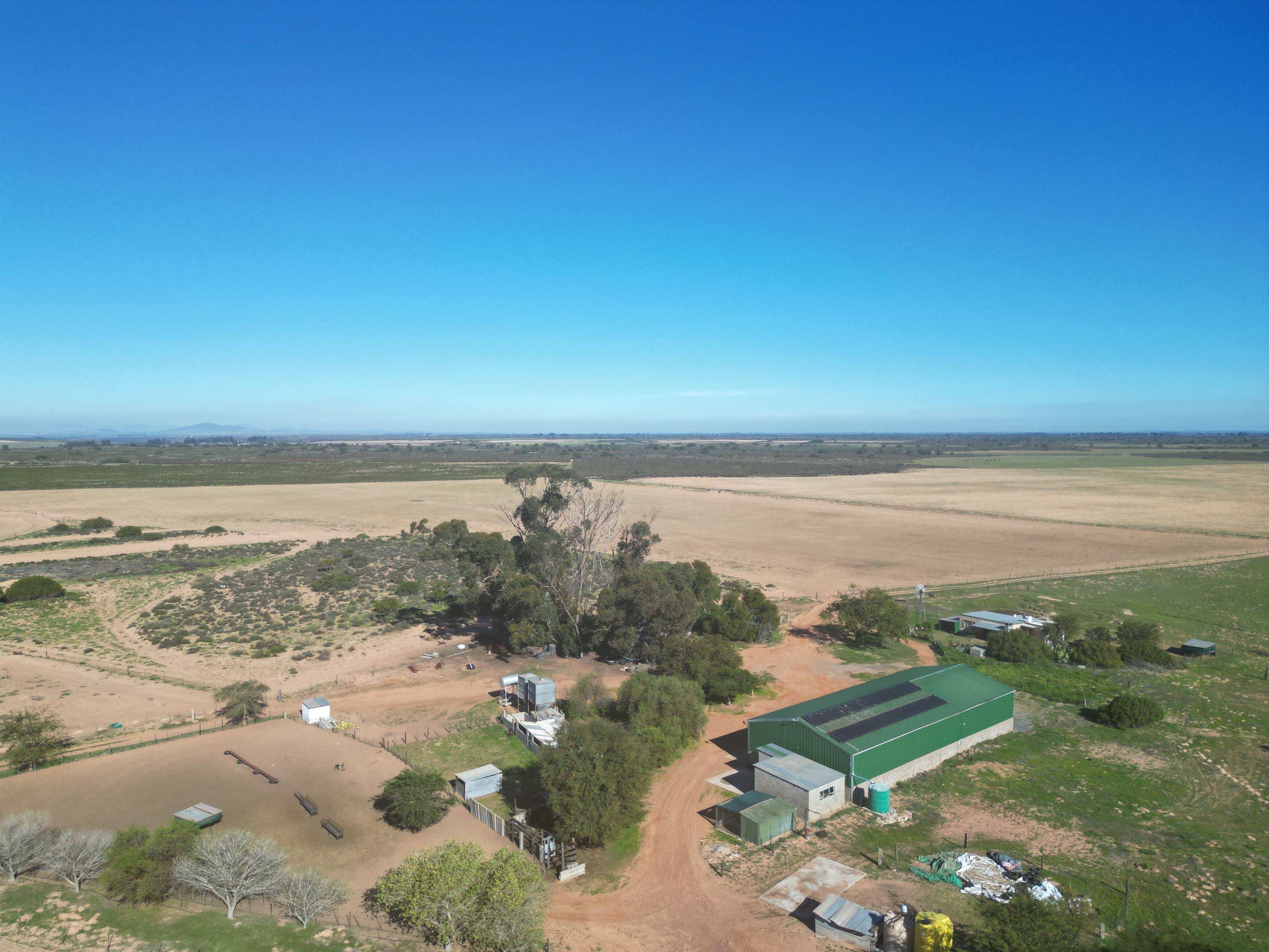 Image 12