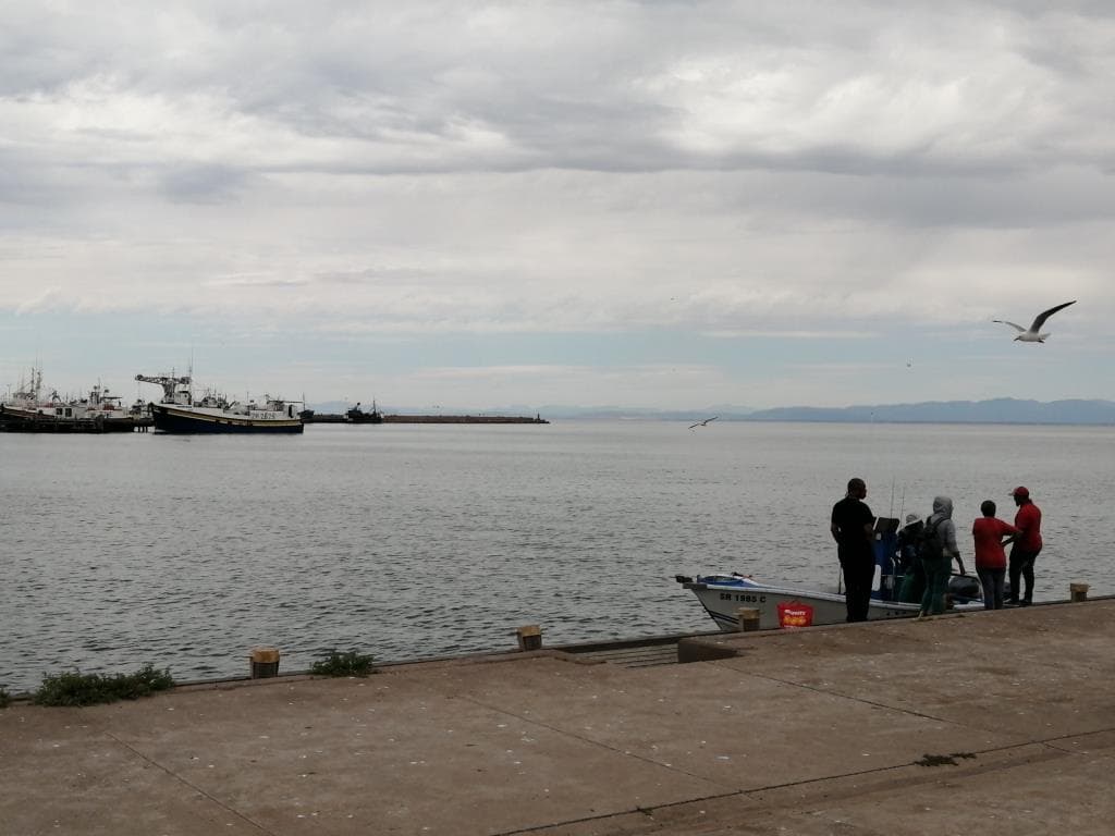 Image 12