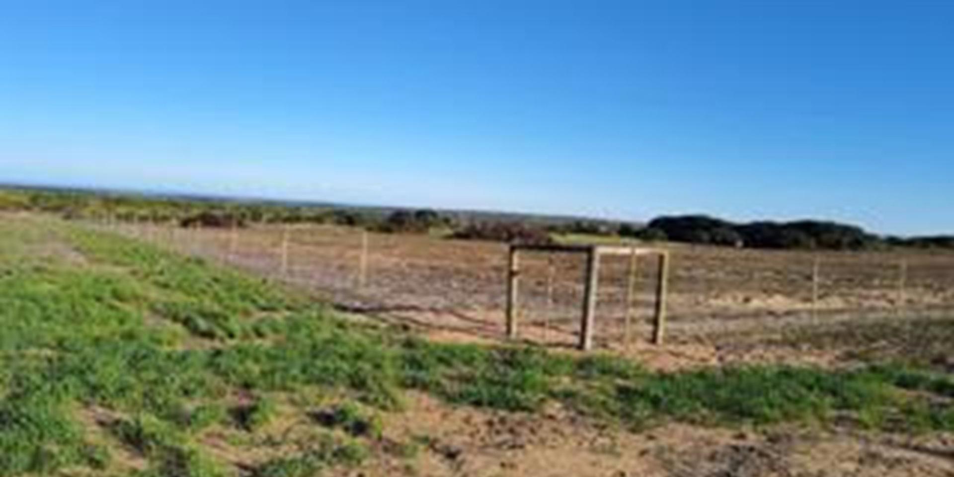 Image 4 of 6
