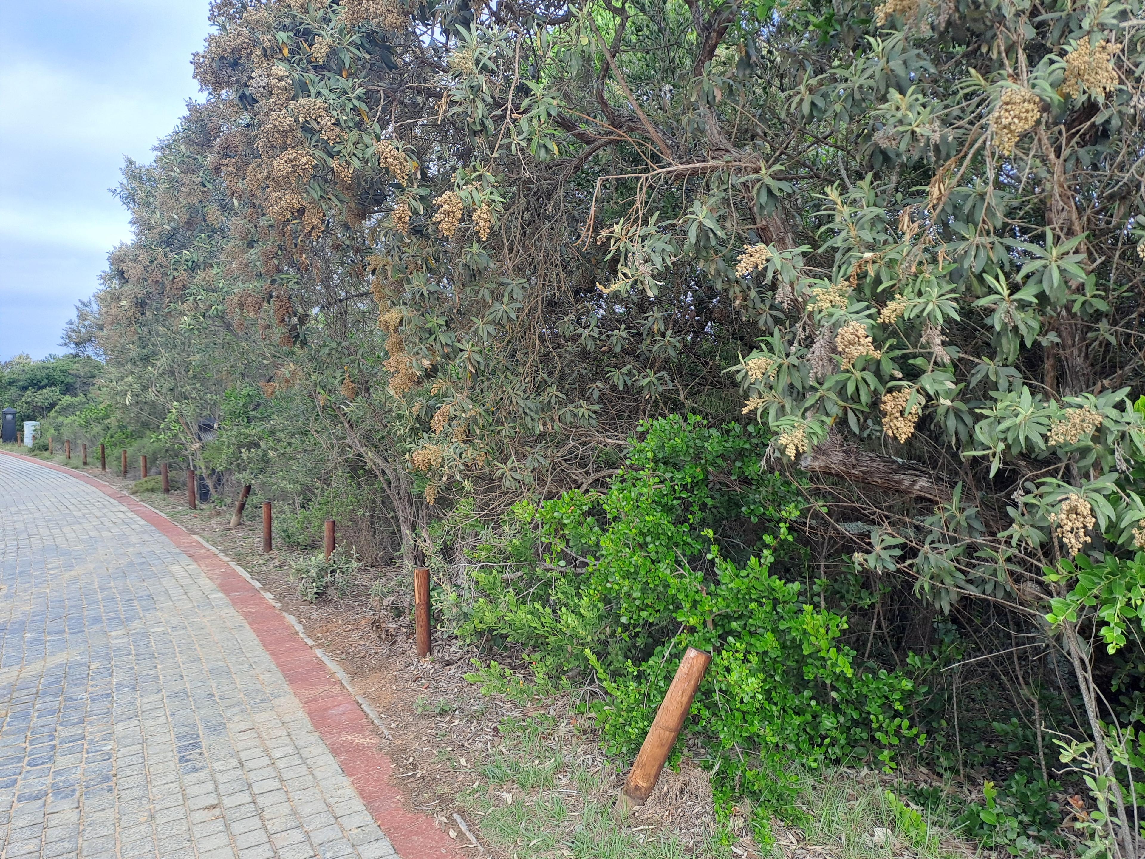 Image 5 of 6