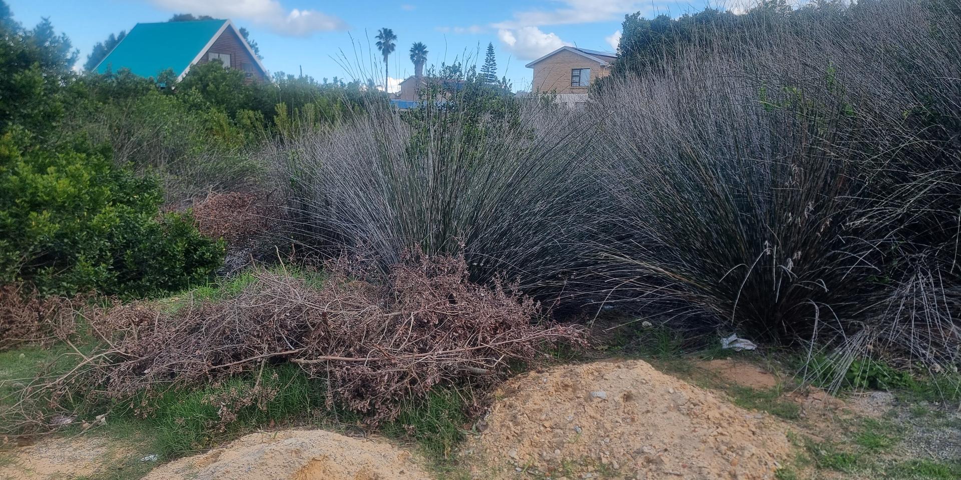 Image 4 of 6