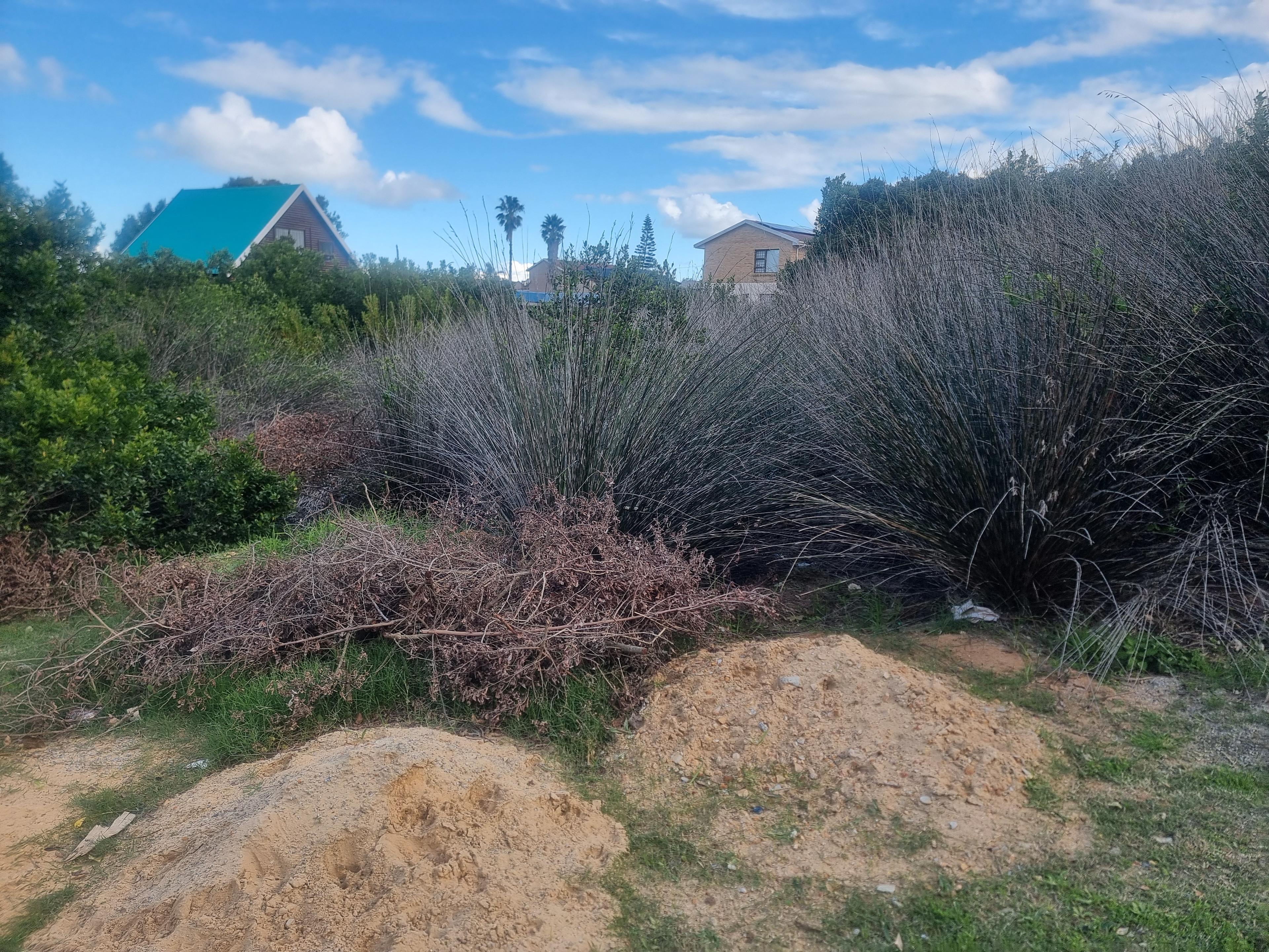 Image 4 of 6