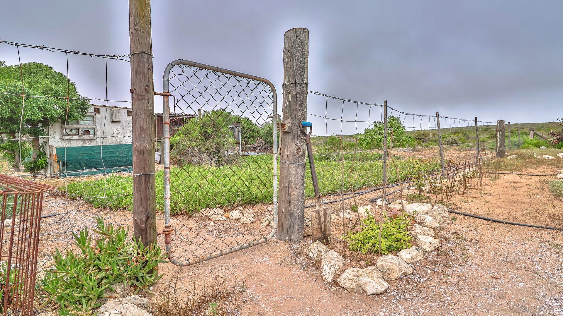 Image 25