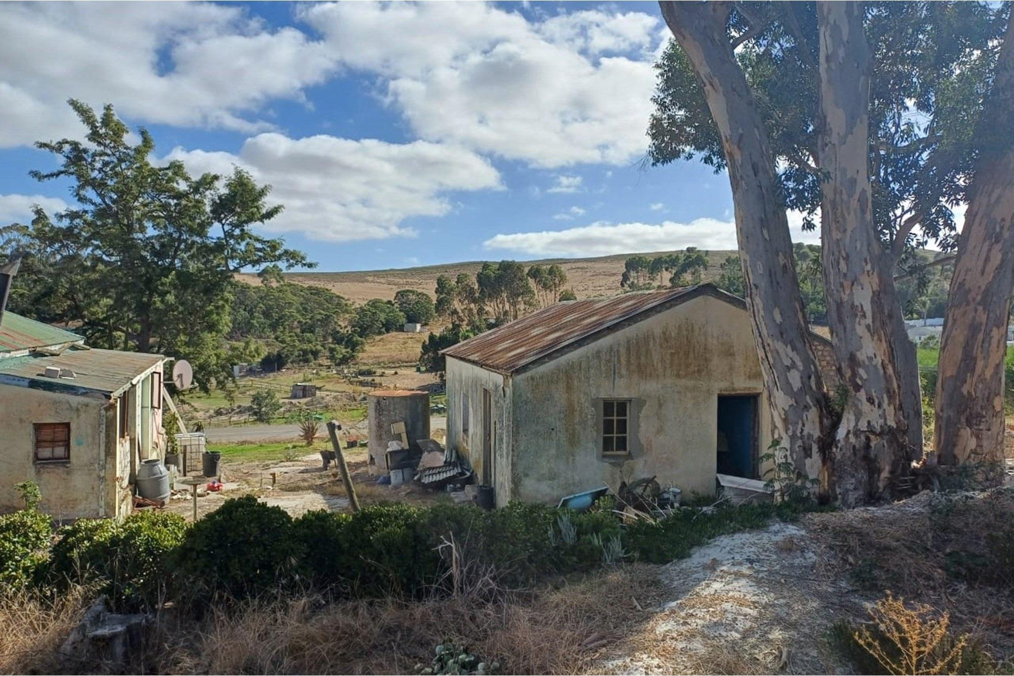 Image 14