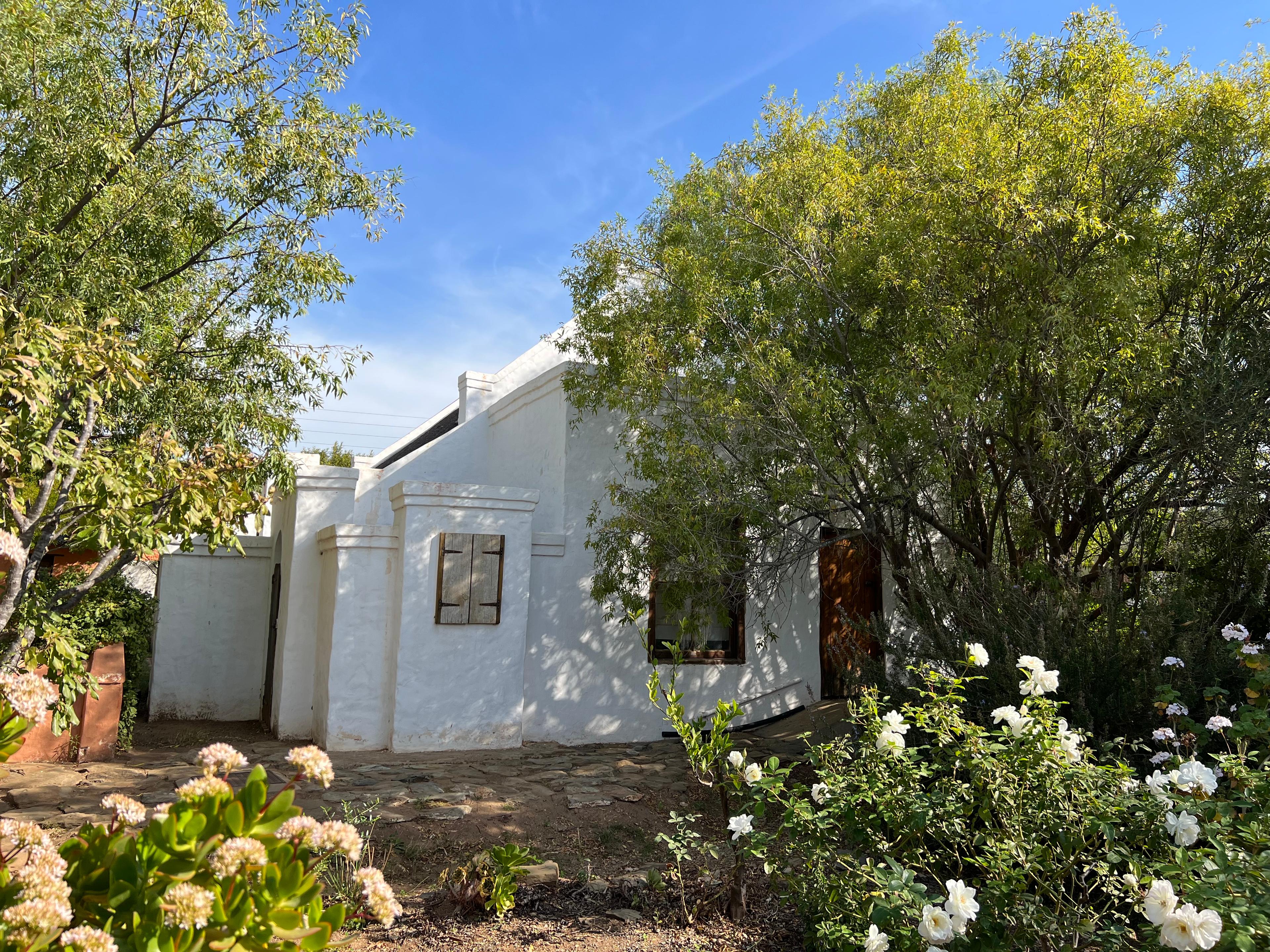 Image 50