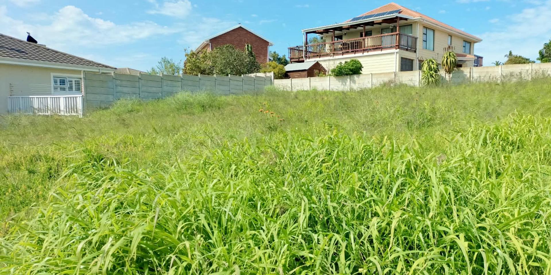 Image 4 of 6