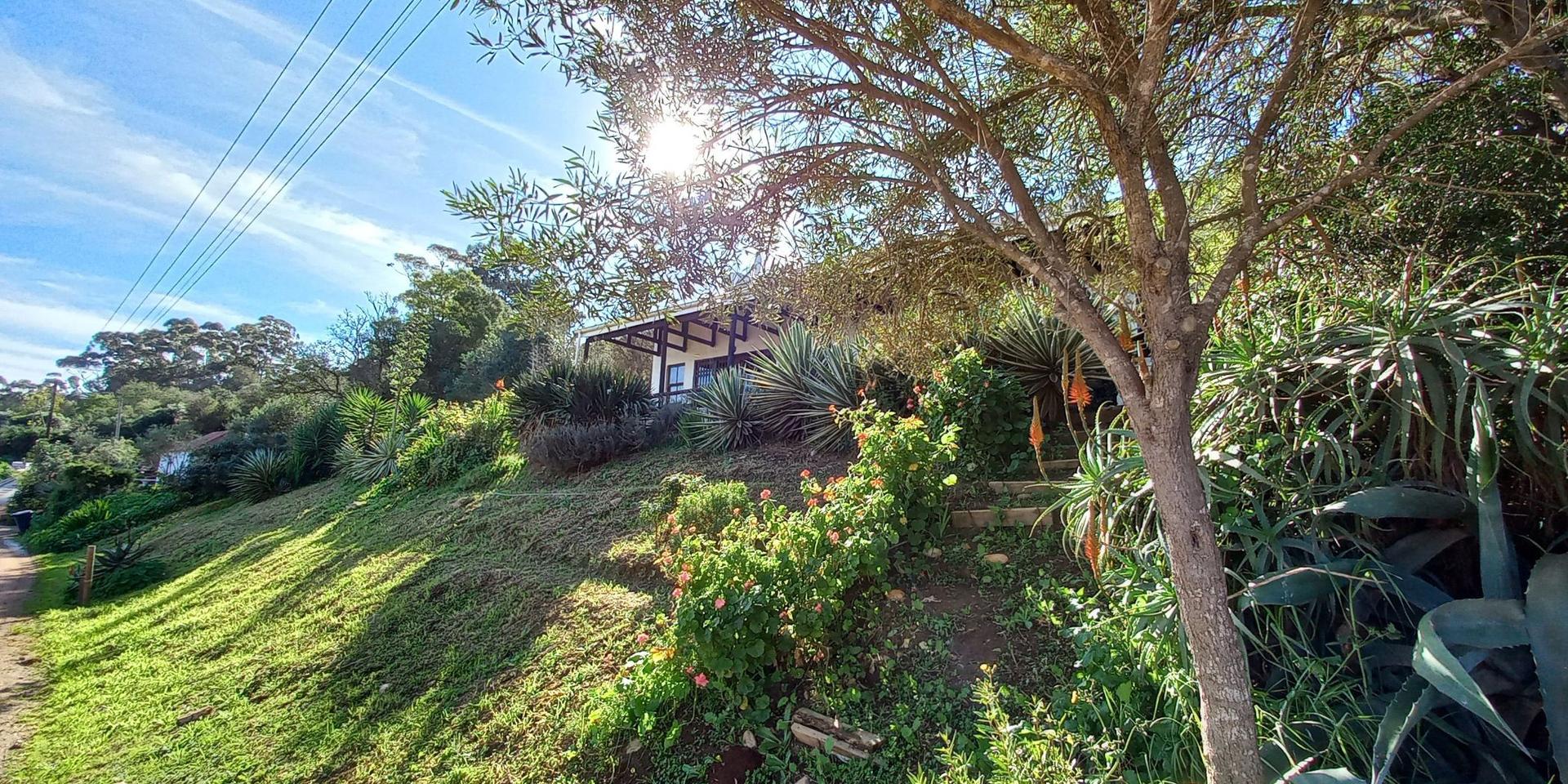 Image 4 of 6