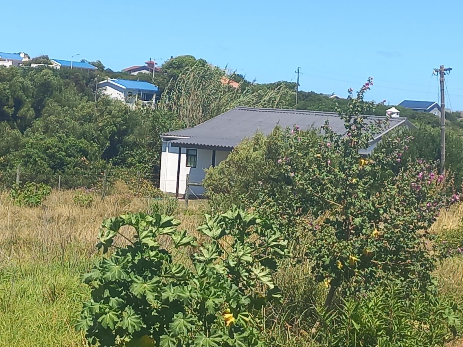 Image 5 of 6