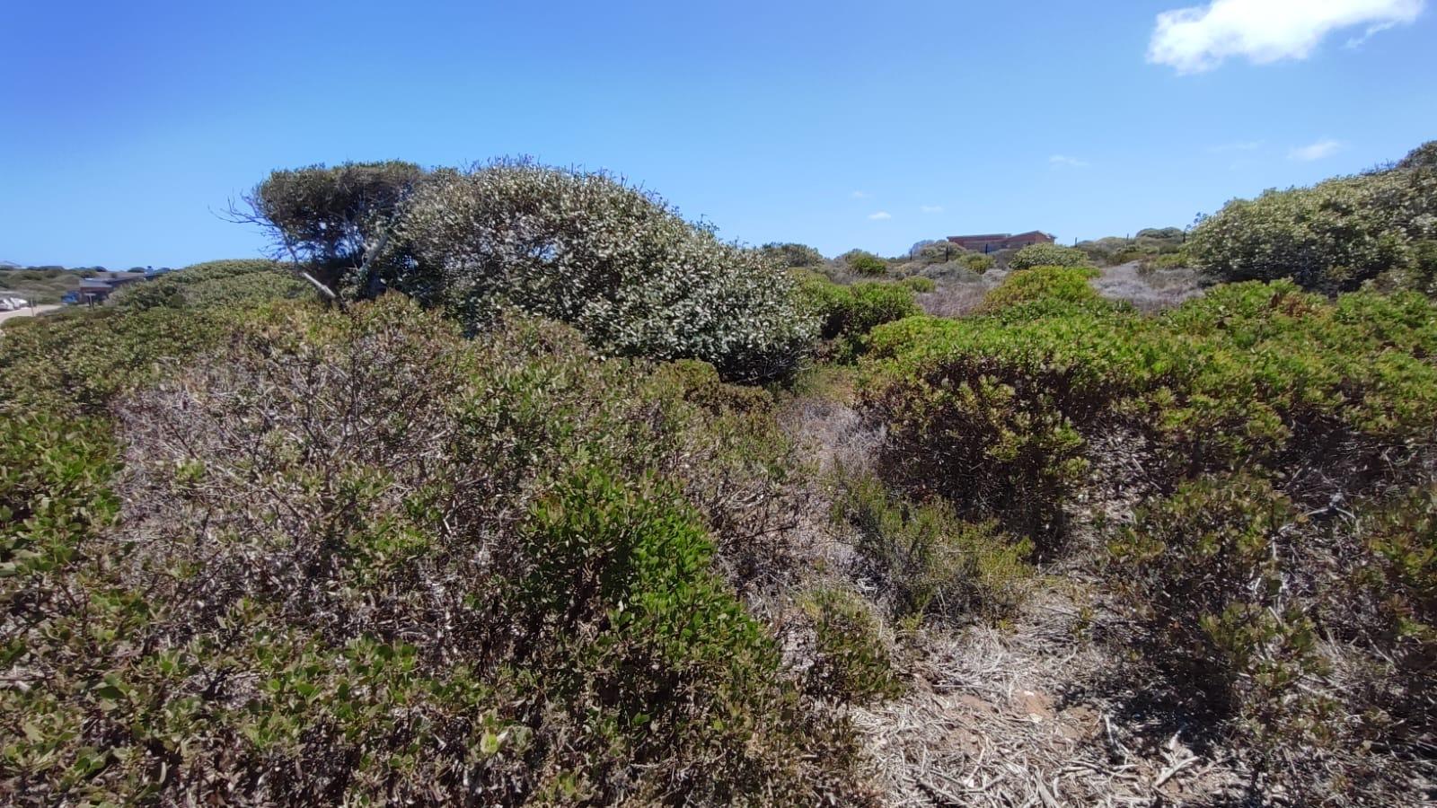 Image 12