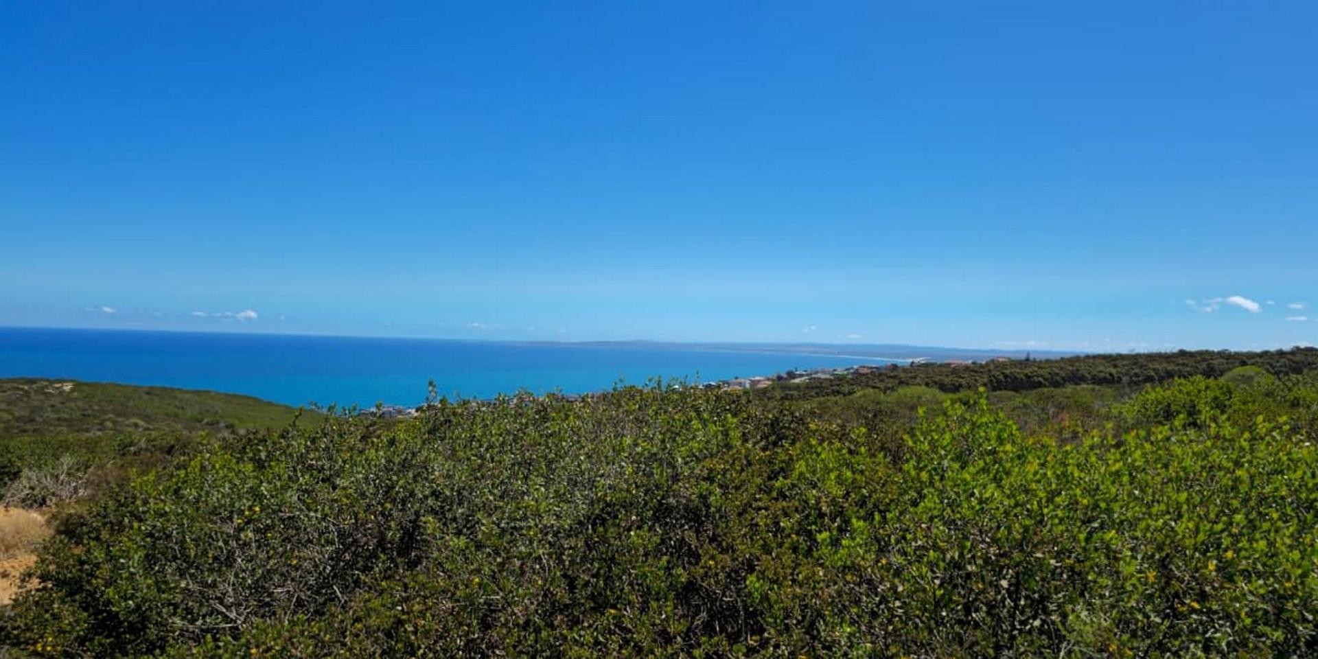 Image 2 of 6