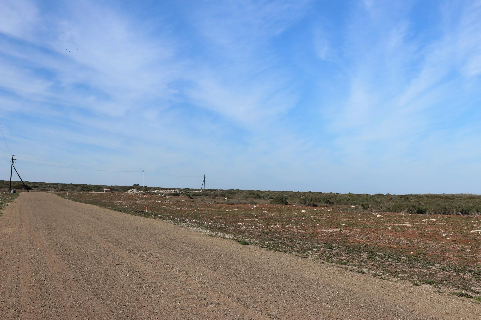 Image 14