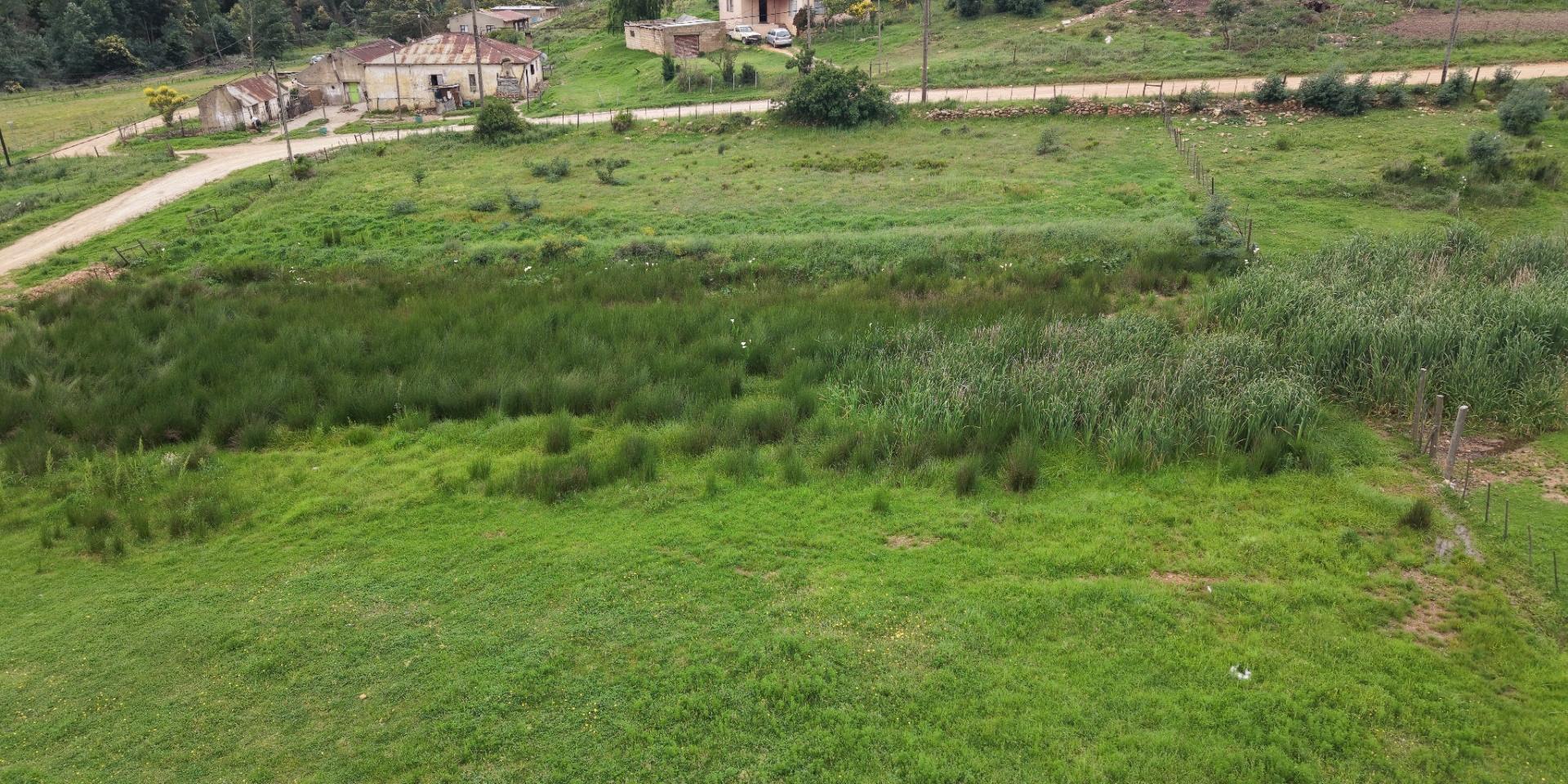Image 5 of 6