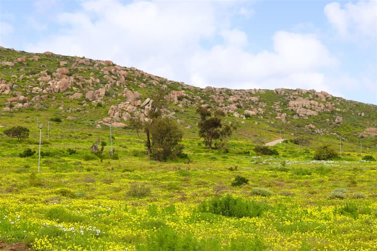 Main property image