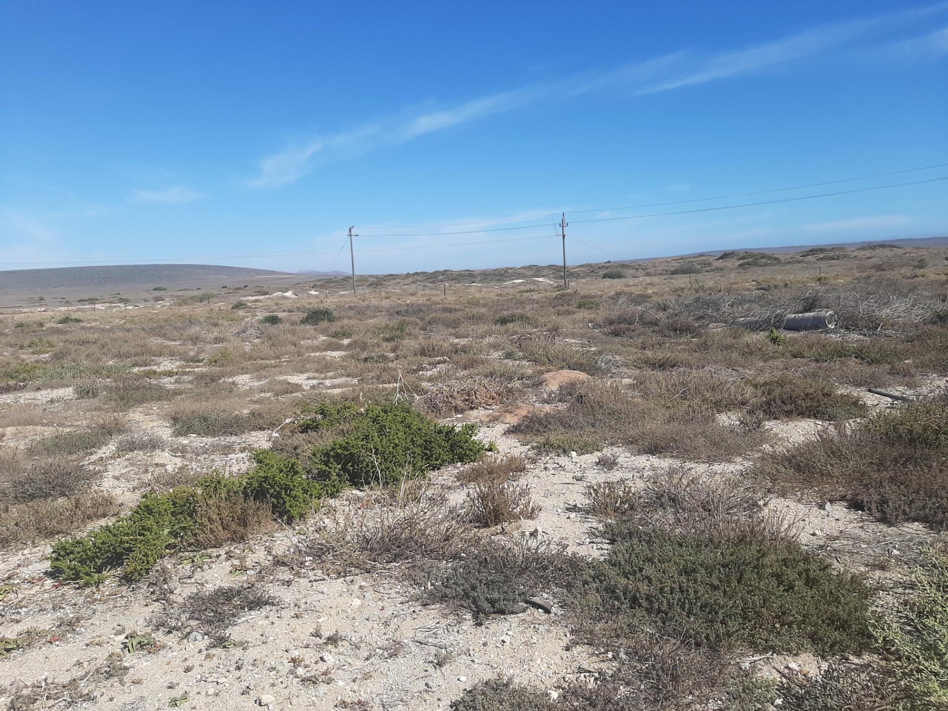 Image 13