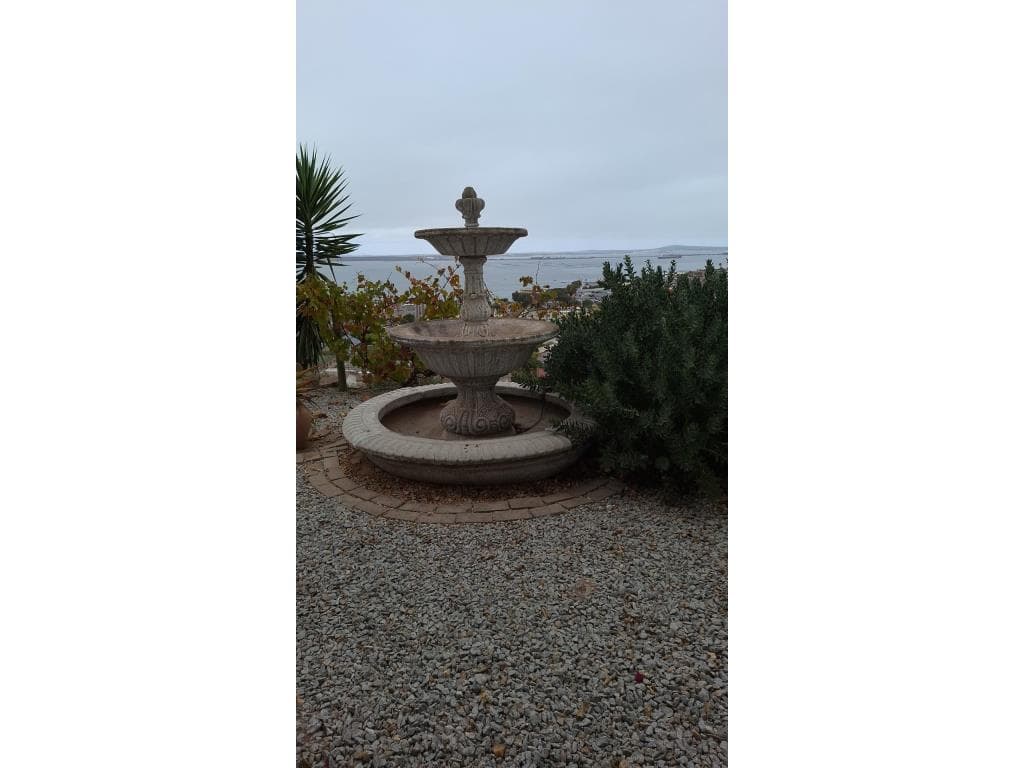 Image 25