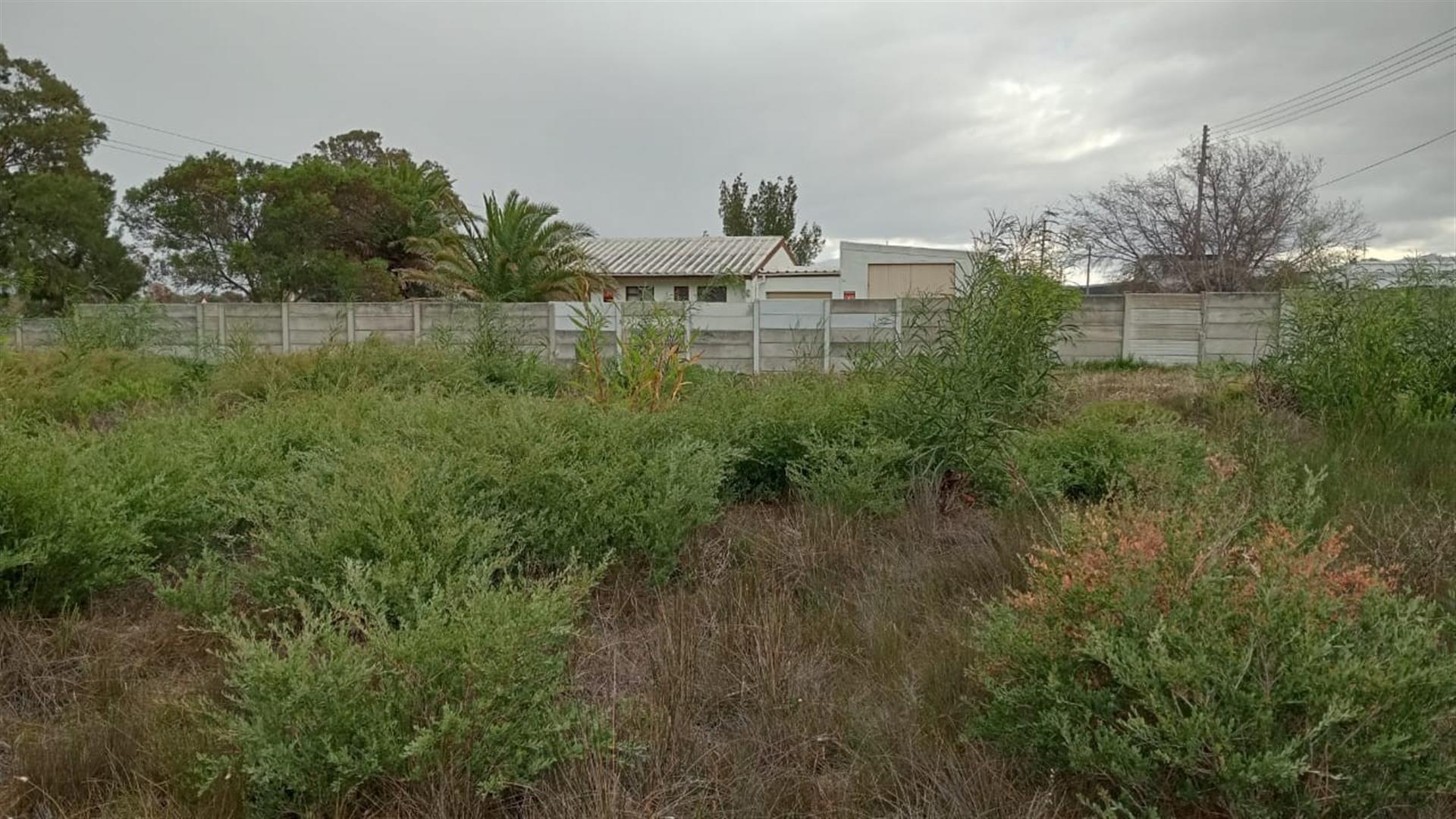 Image 8