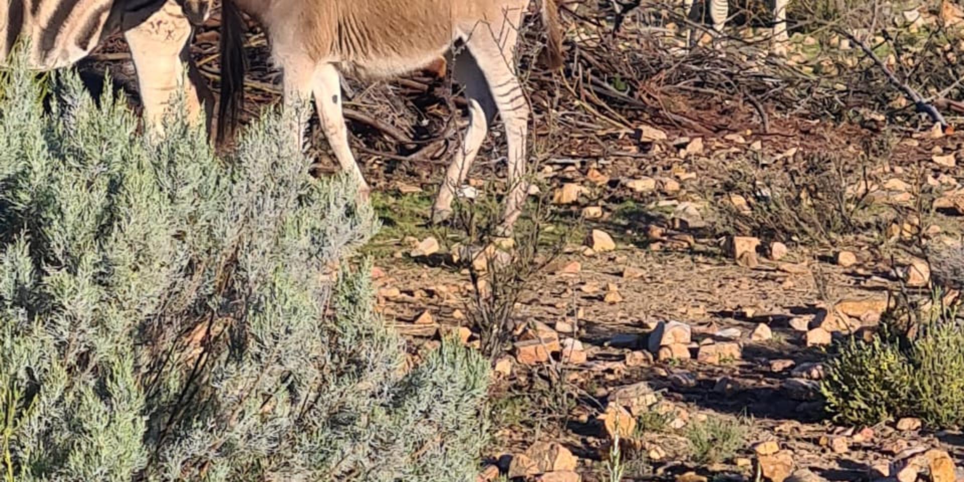 Image 4 of 6