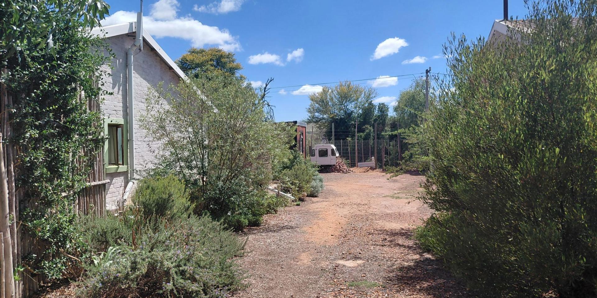 Image 3 of 6