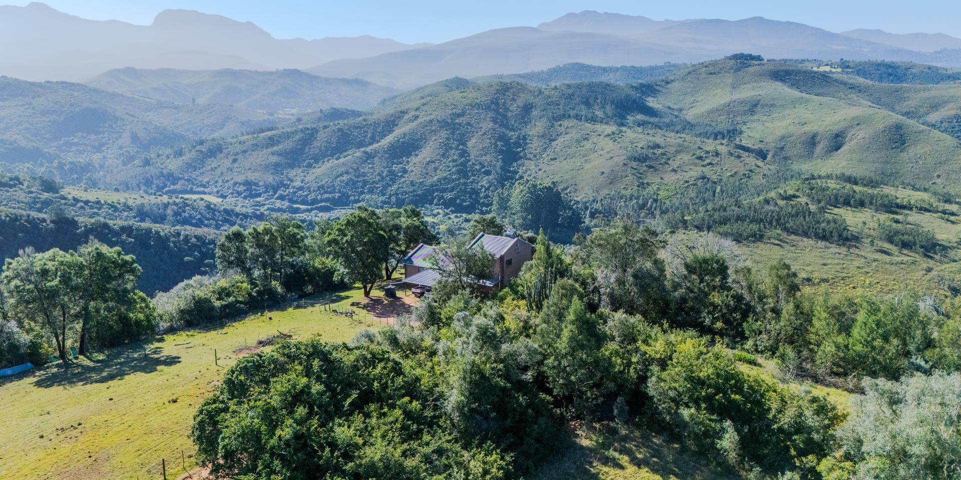 Image 2 of 6