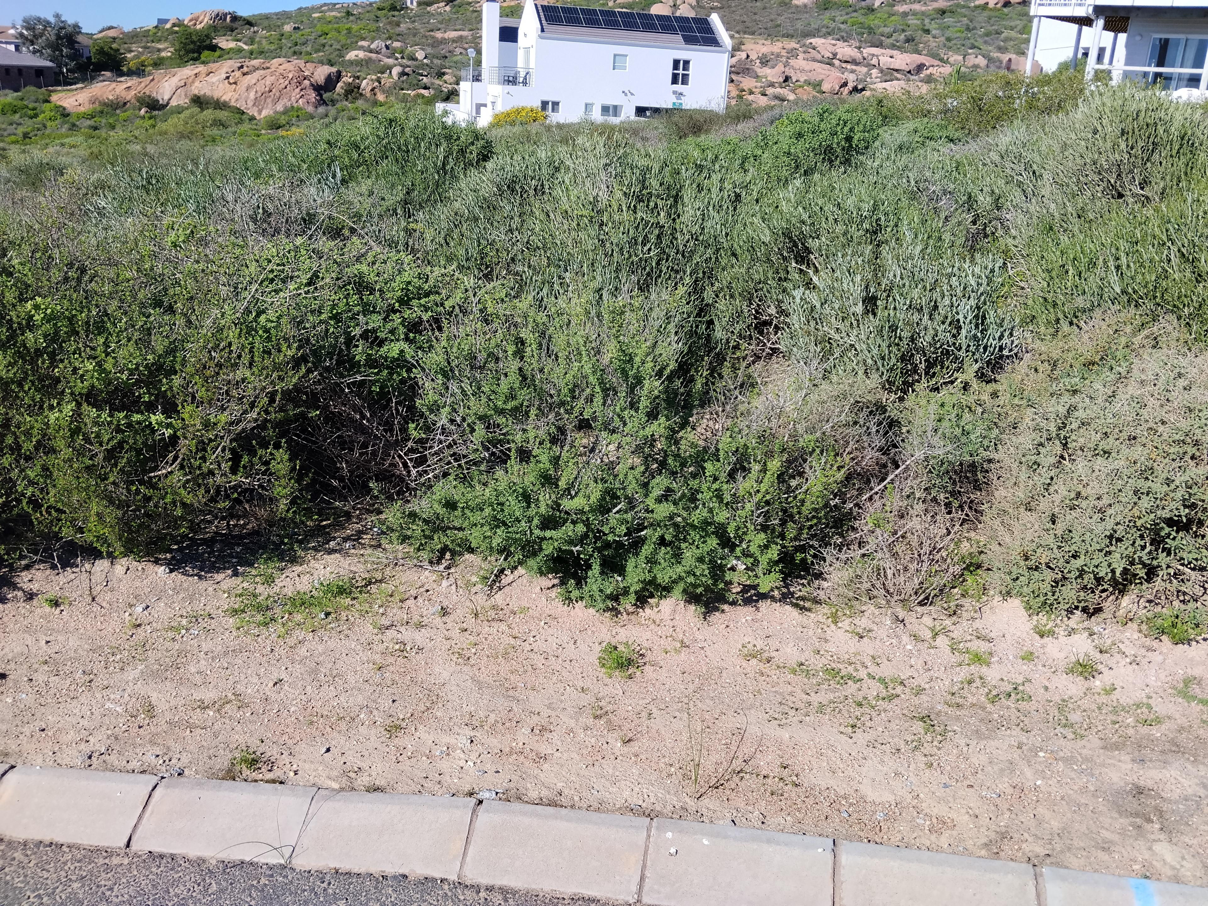 Image 4 of 6