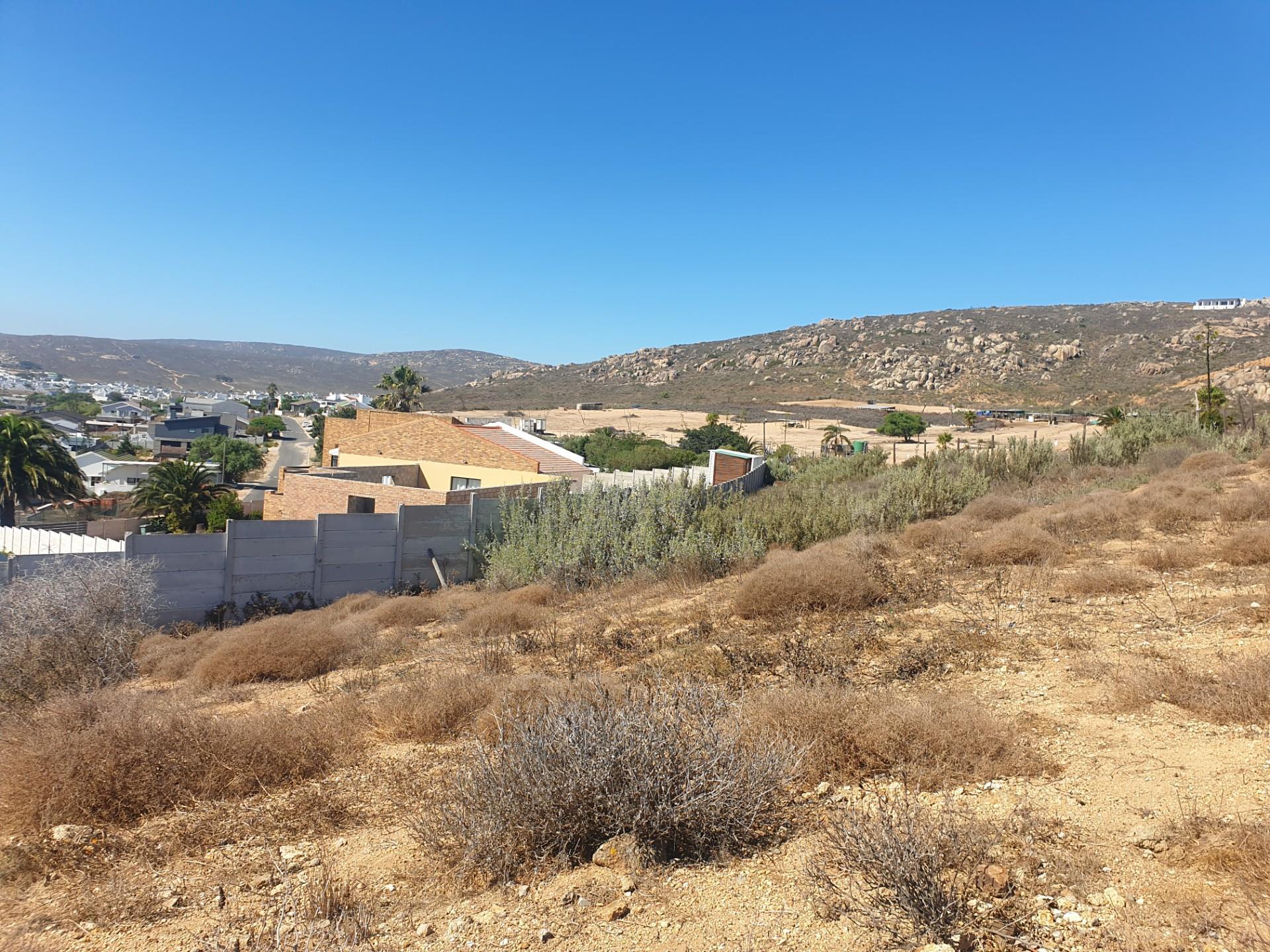 Image 12
