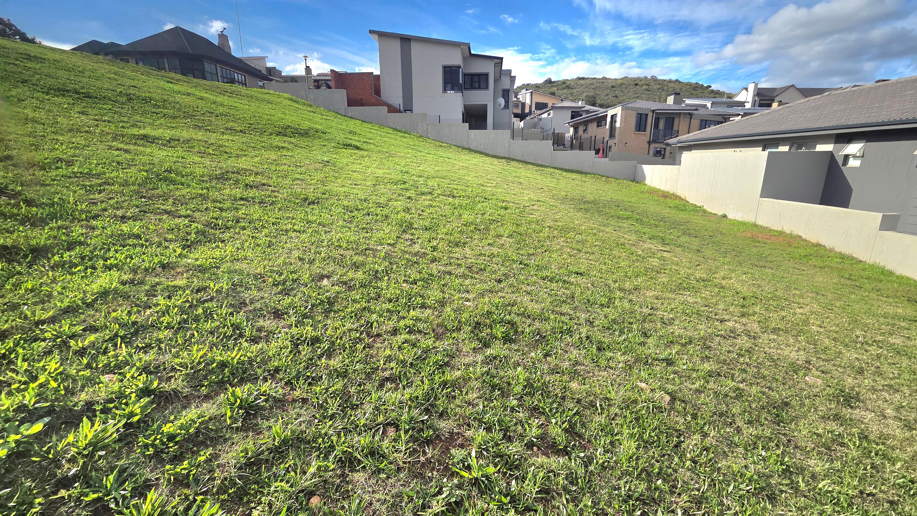 Image 3 of 6