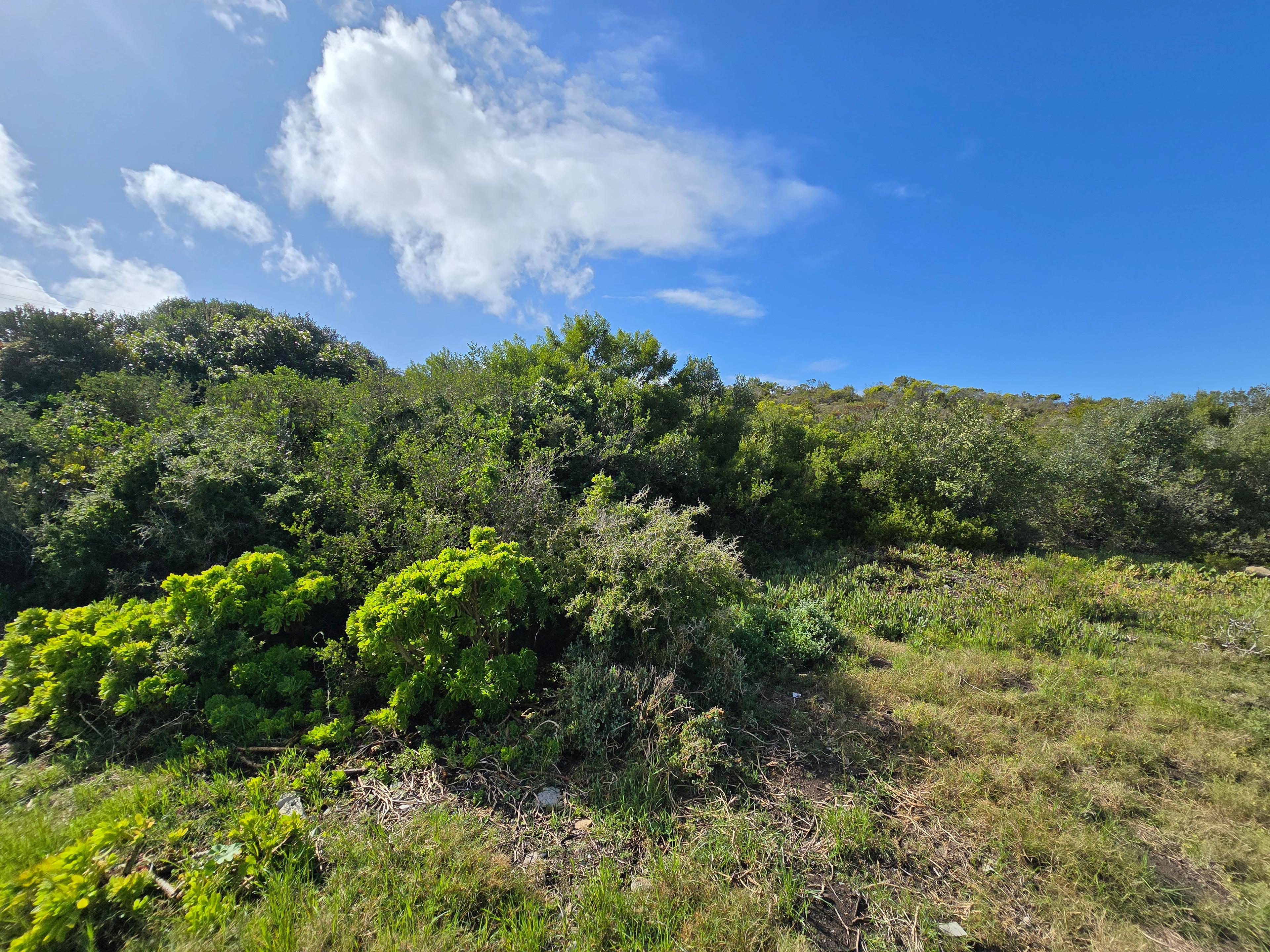 Image 5 of 6