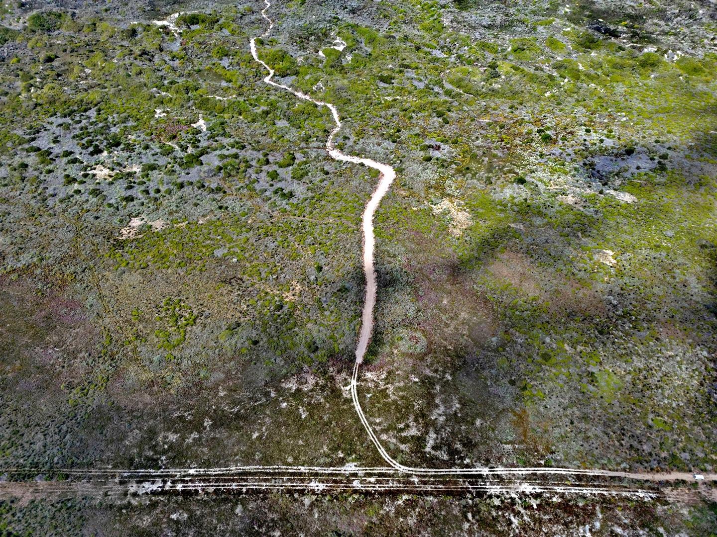 Image 3 of 6